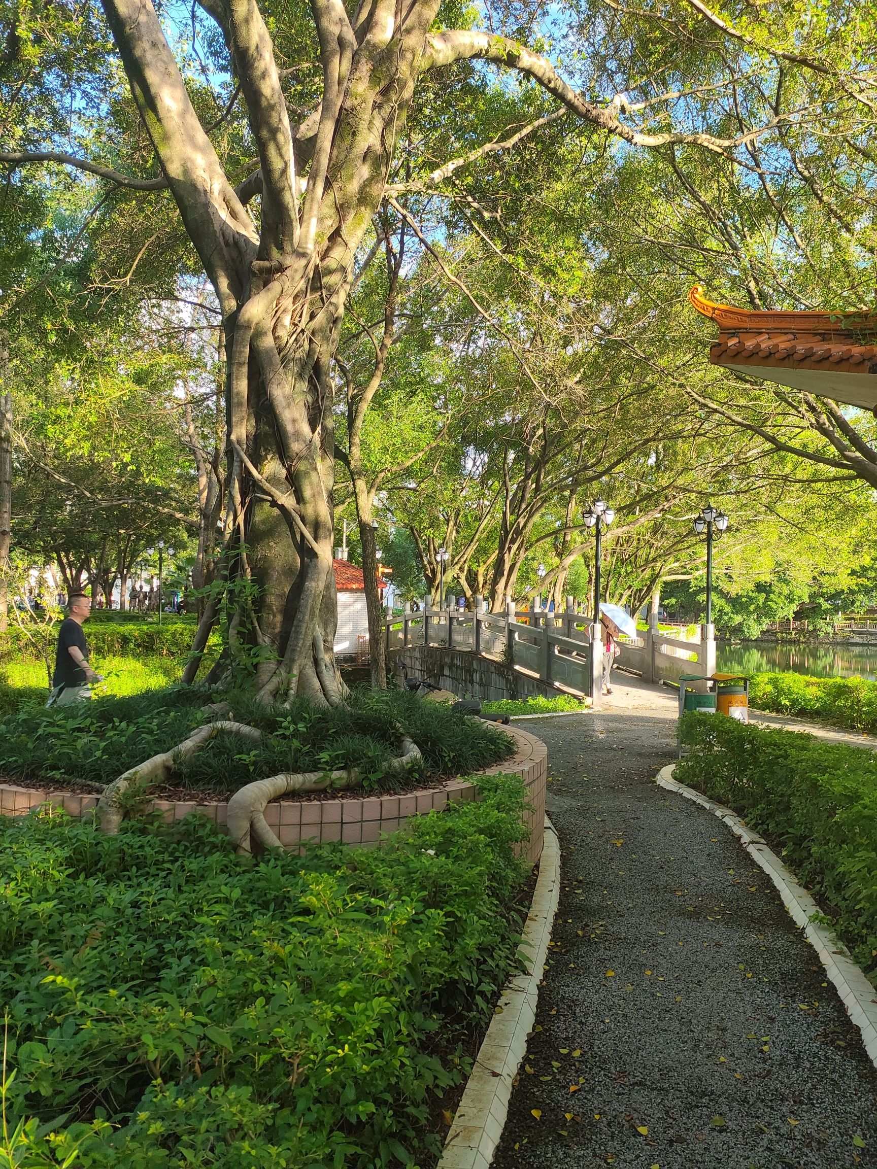 梅州市足球文化公园旅行图片 2
