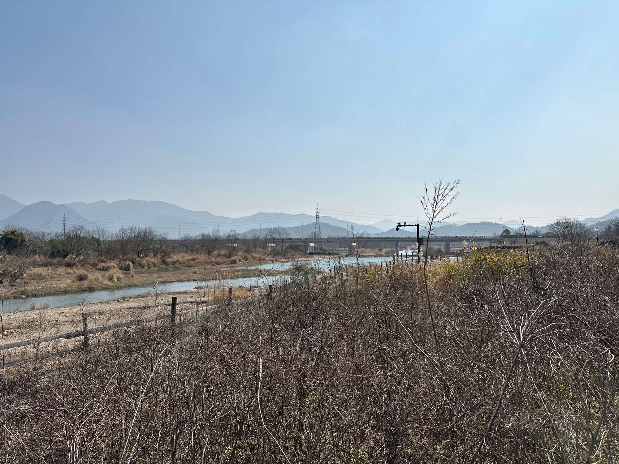 楠溪江滩地音乐公园旅行图片 2