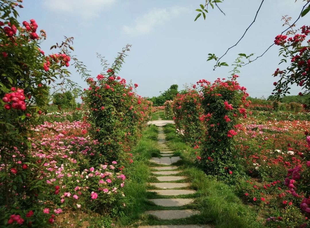万花谷旅行图片 2