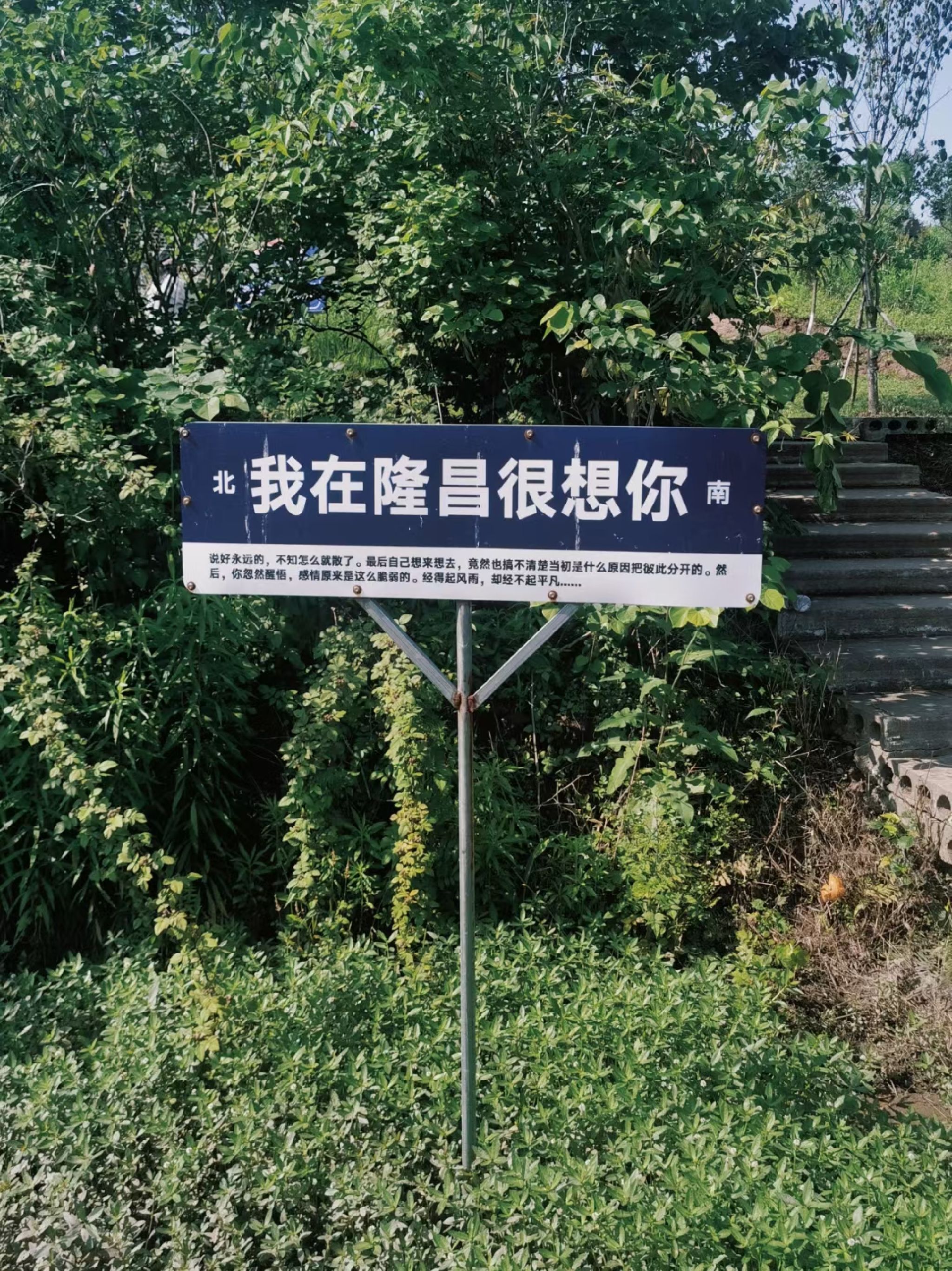 万花谷旅行图片 1