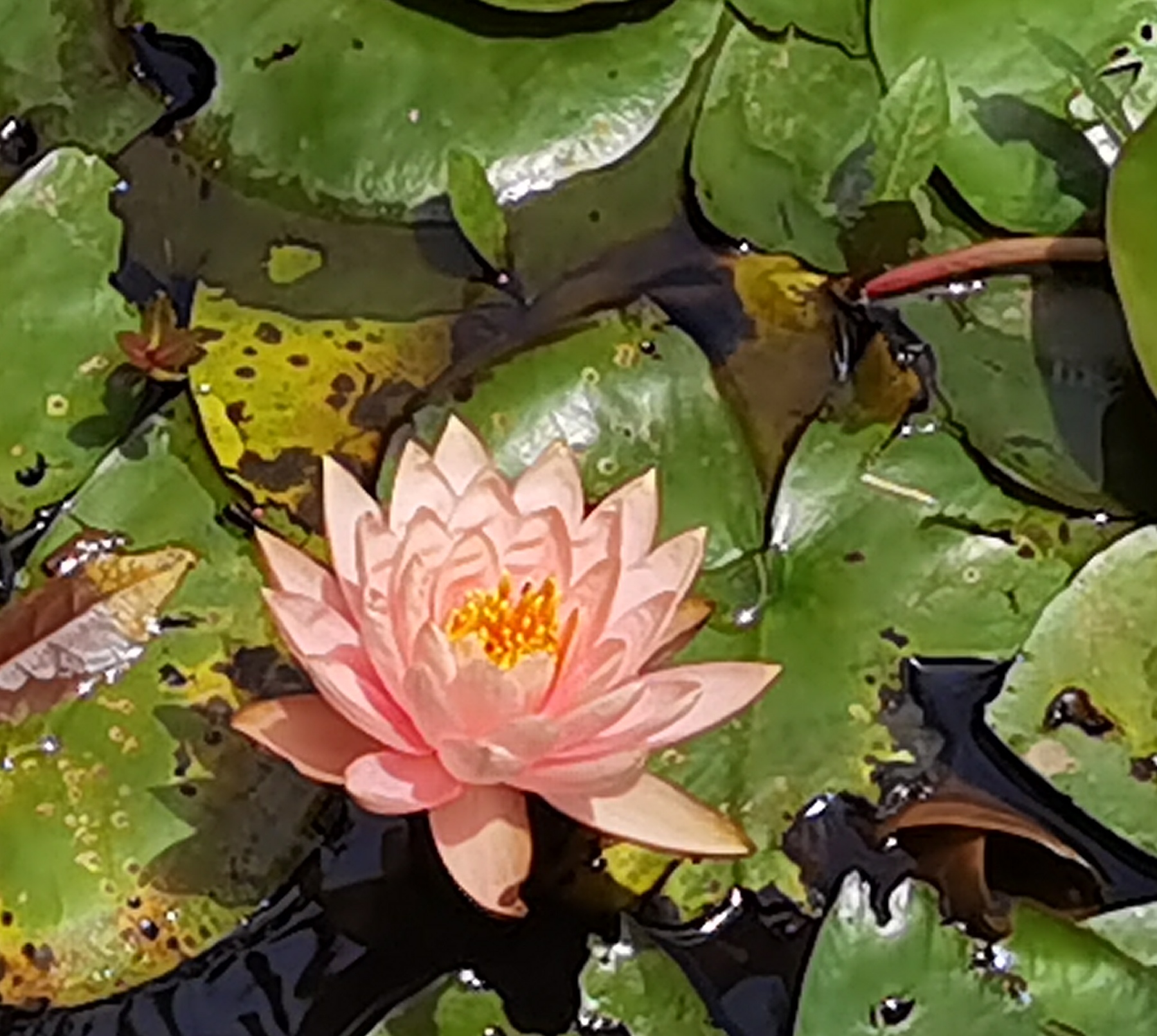 万花谷旅行图片 1