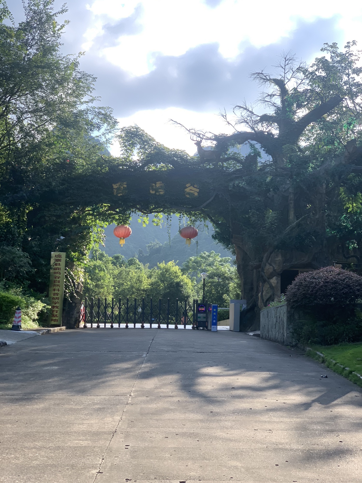 鹿鸣谷旅行图片 3