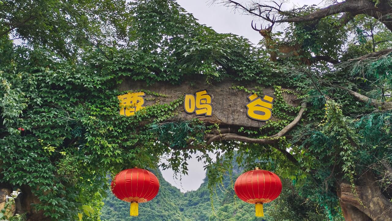 鹿鸣谷旅行图片 1