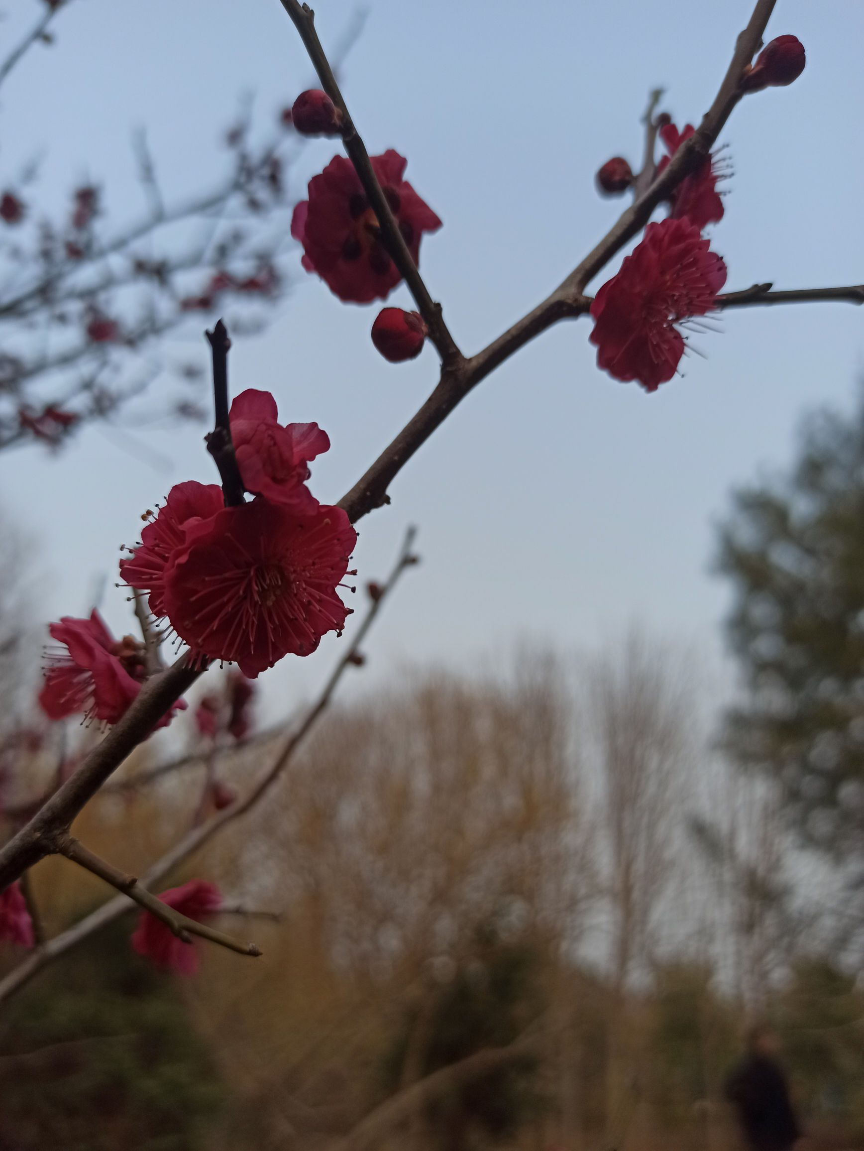 伊川建业绿色基地旅行图片 2