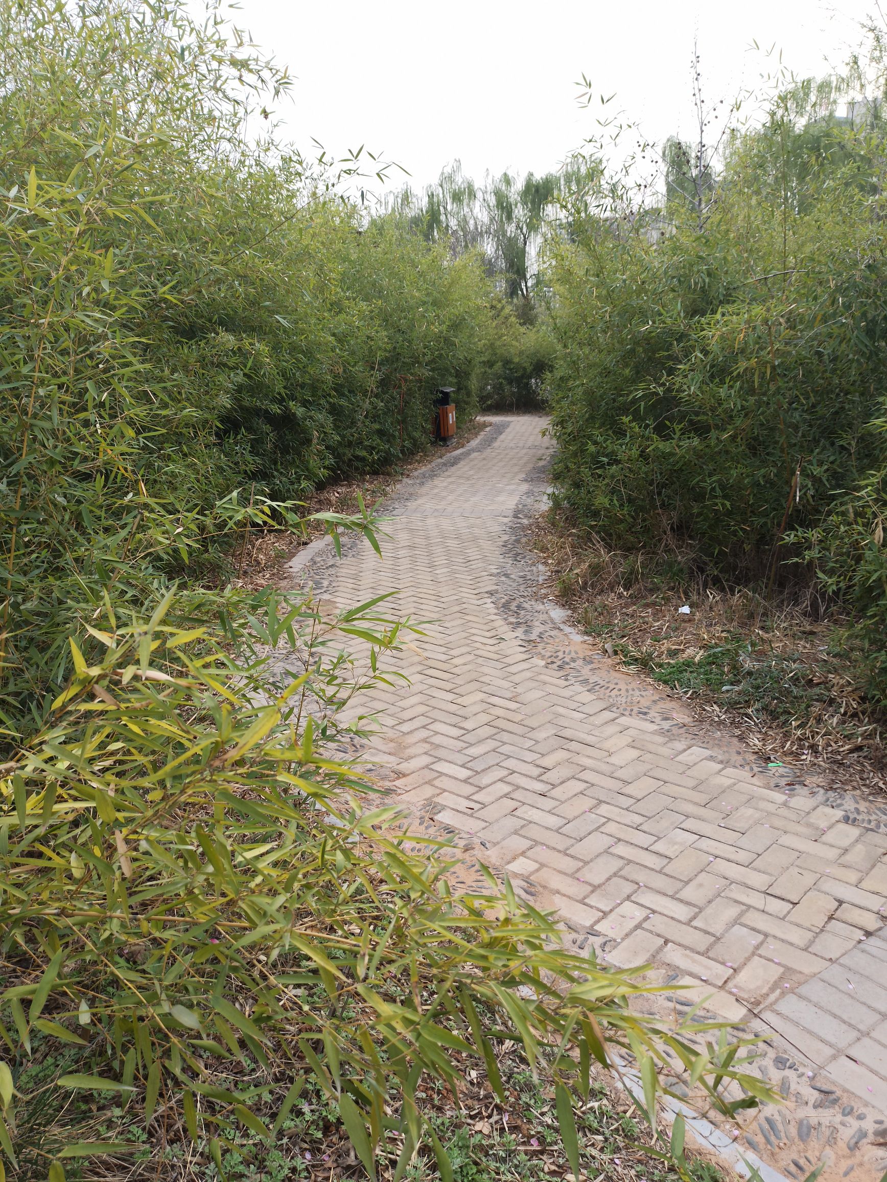 伊川建业绿色基地旅行图片 3