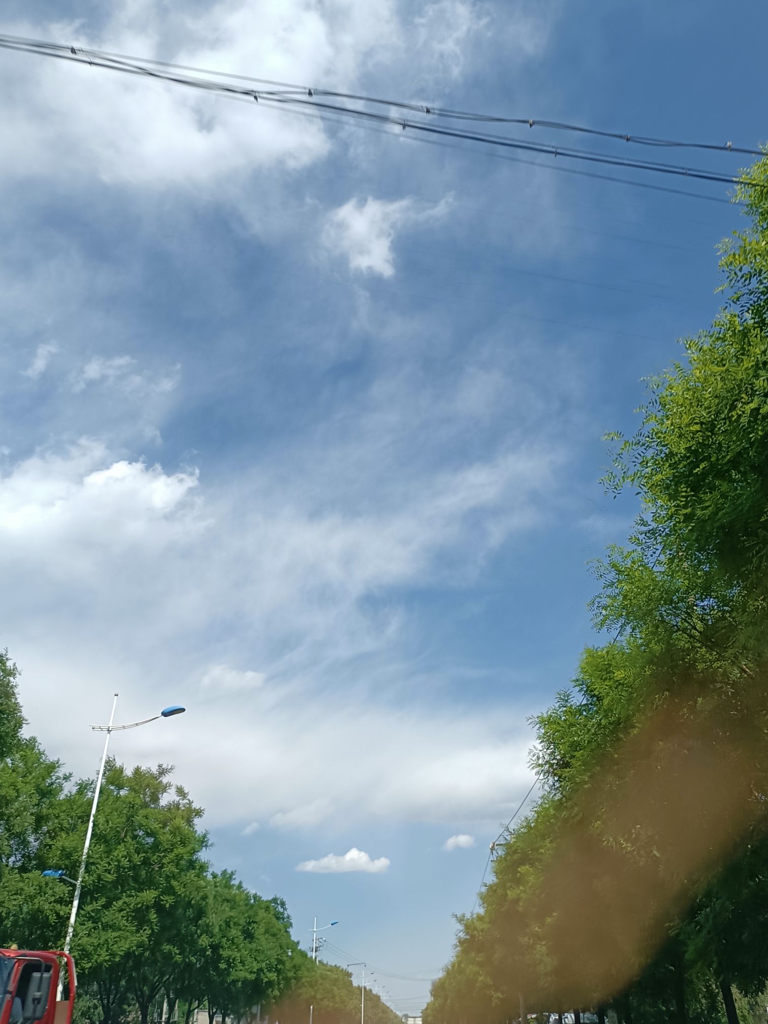 半壁店森林公园旅行图片 1