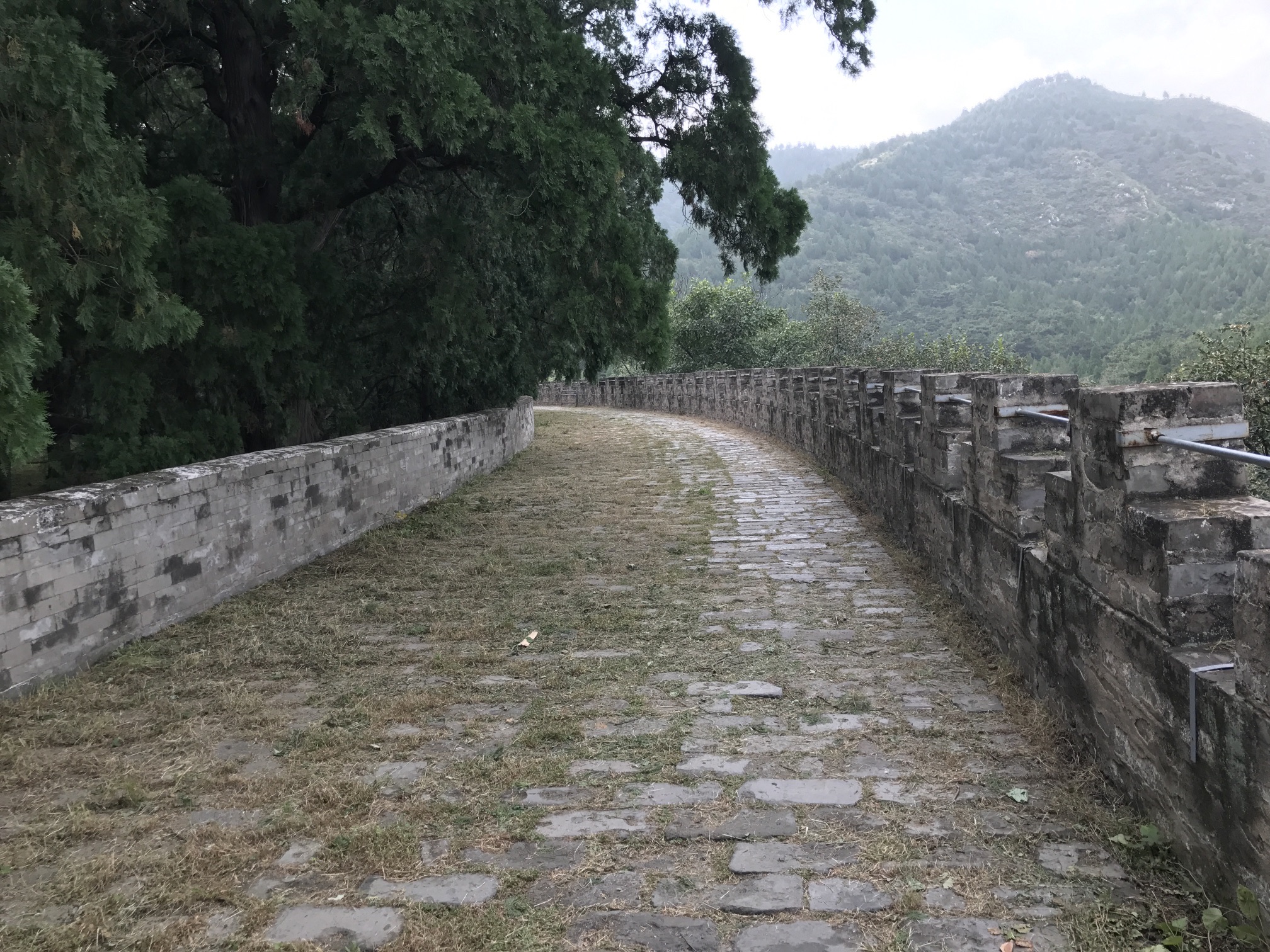 半壁店森林公园旅行图片 3