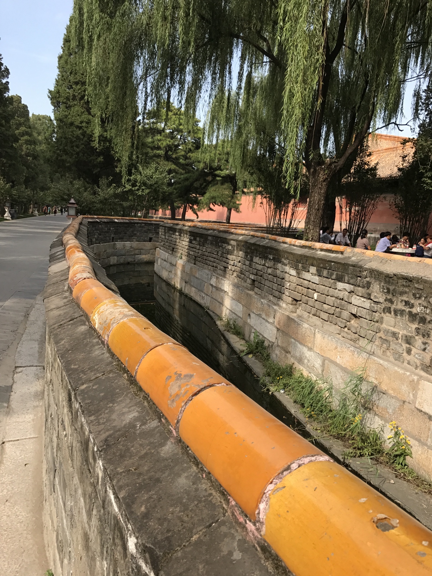 半壁店森林公园旅行图片 1
