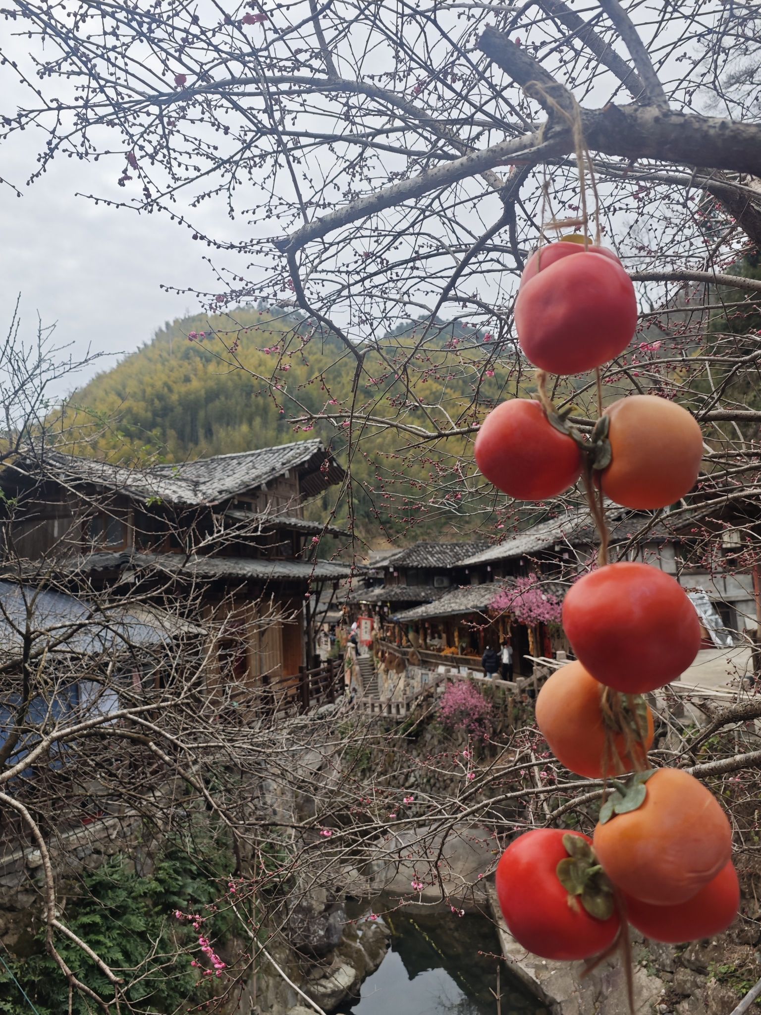 林坑古村落旅行图片 2