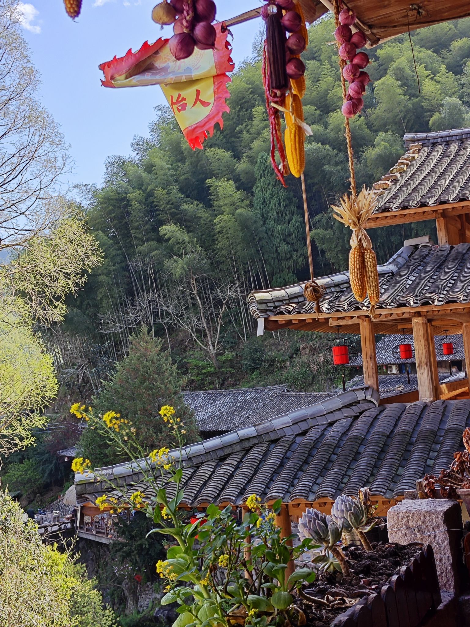 林坑古村落旅行图片 3