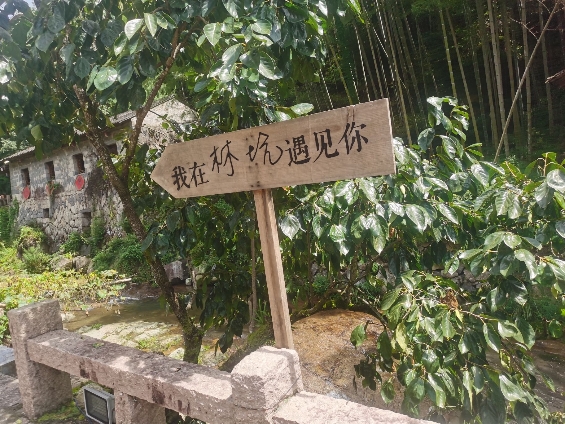 林坑古村落旅行图片 2