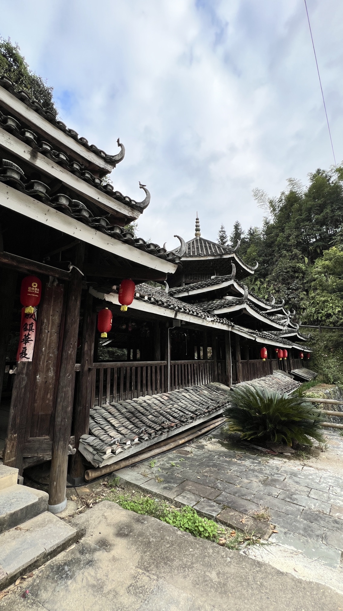 仙人山景区旅行图片 1