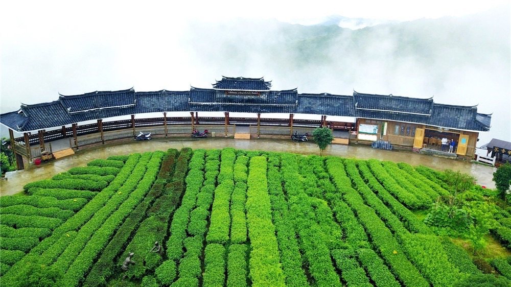 仙人山景区旅行图片 3