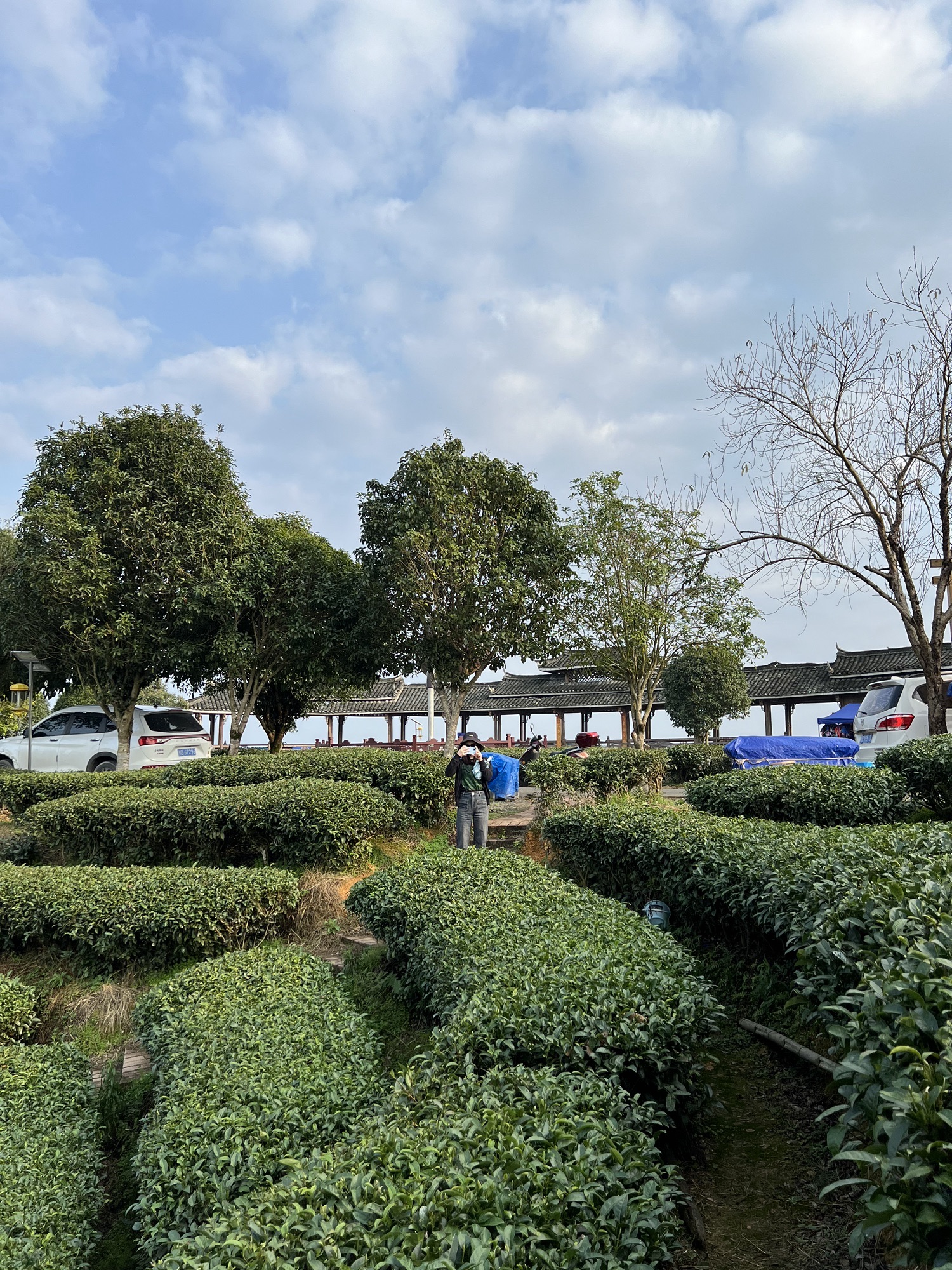 仙人山景区旅行图片 2