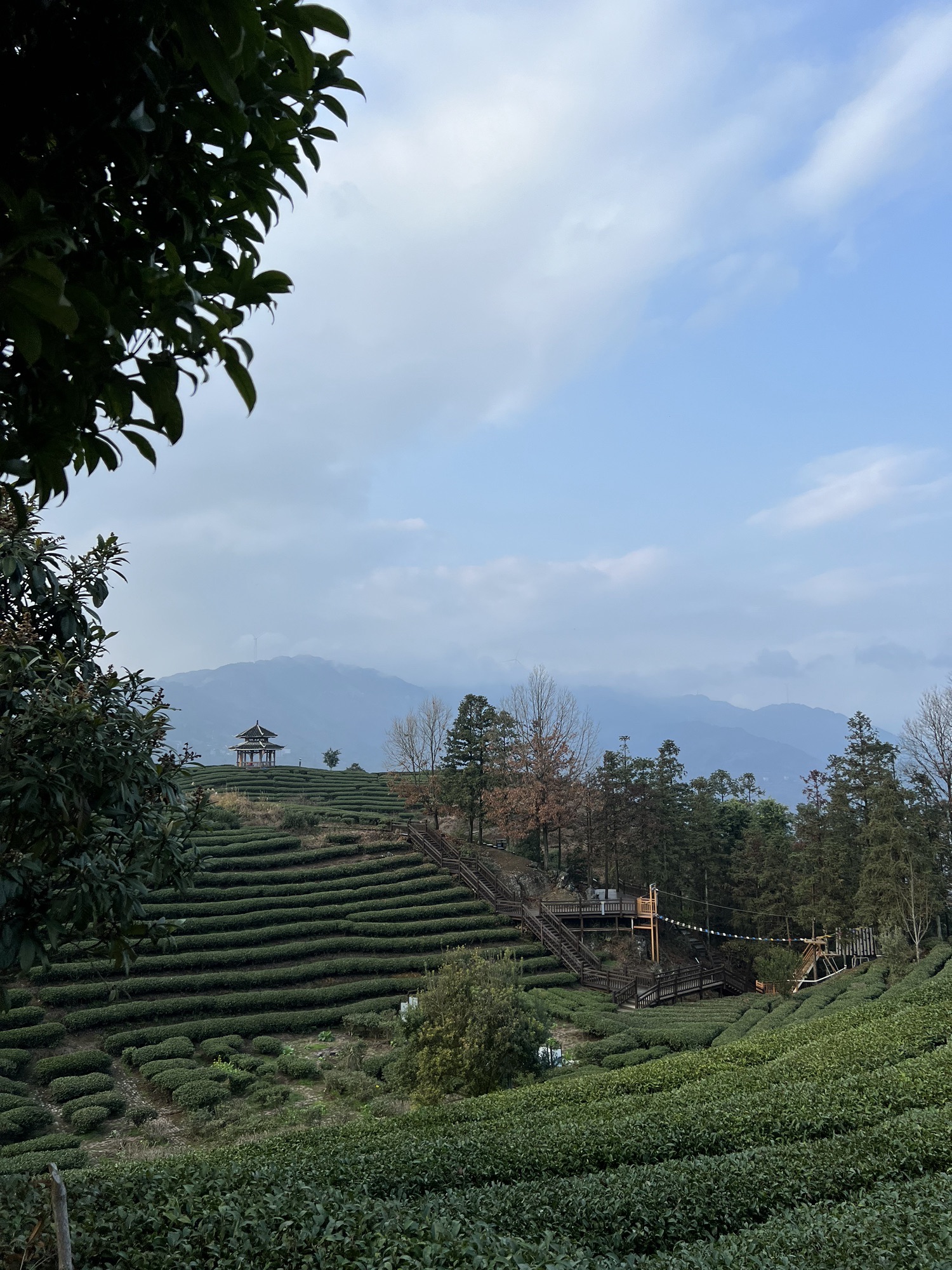 仙人山景区旅行图片 3
