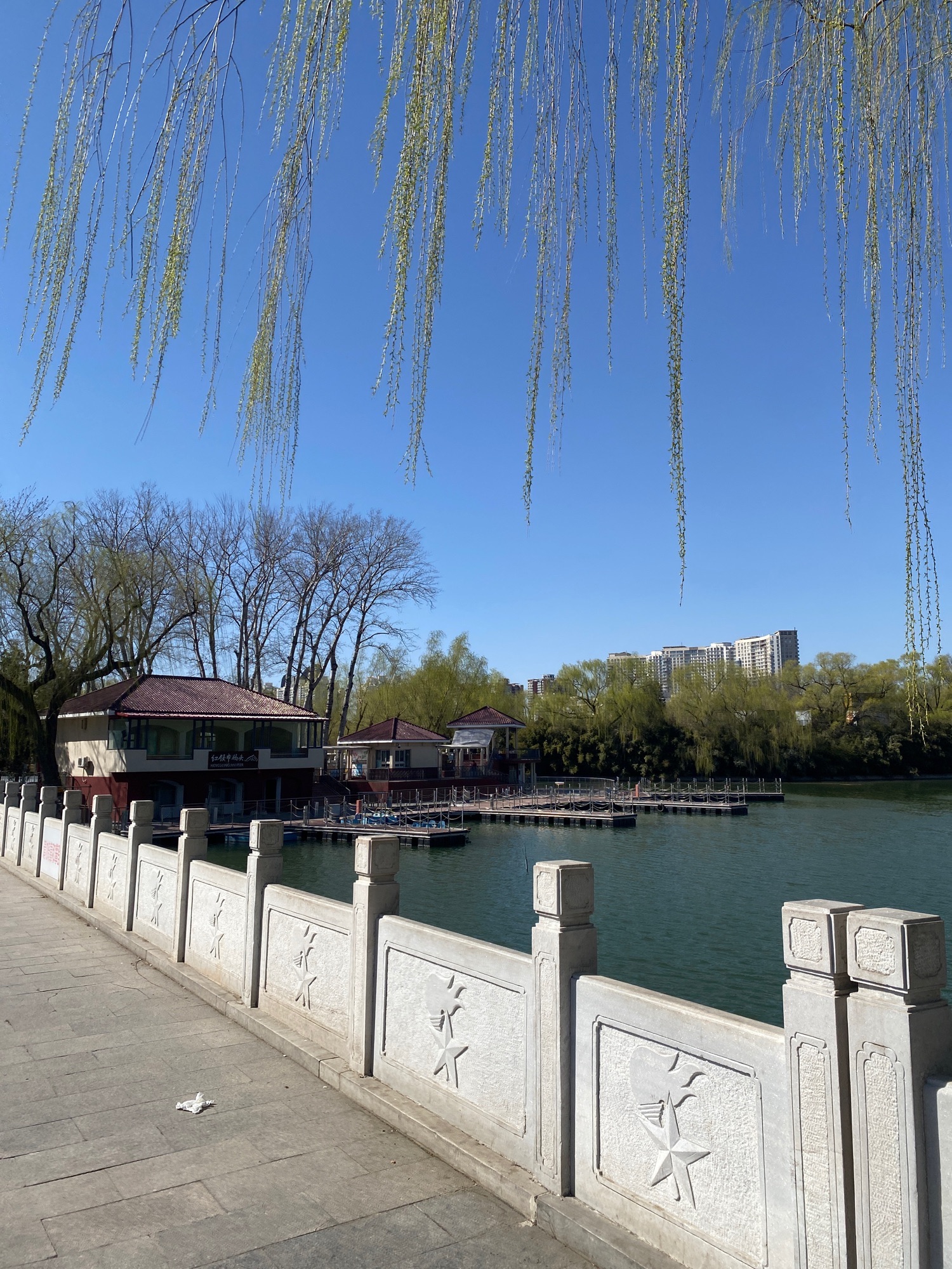 红领巾公园-少儿交通模拟园