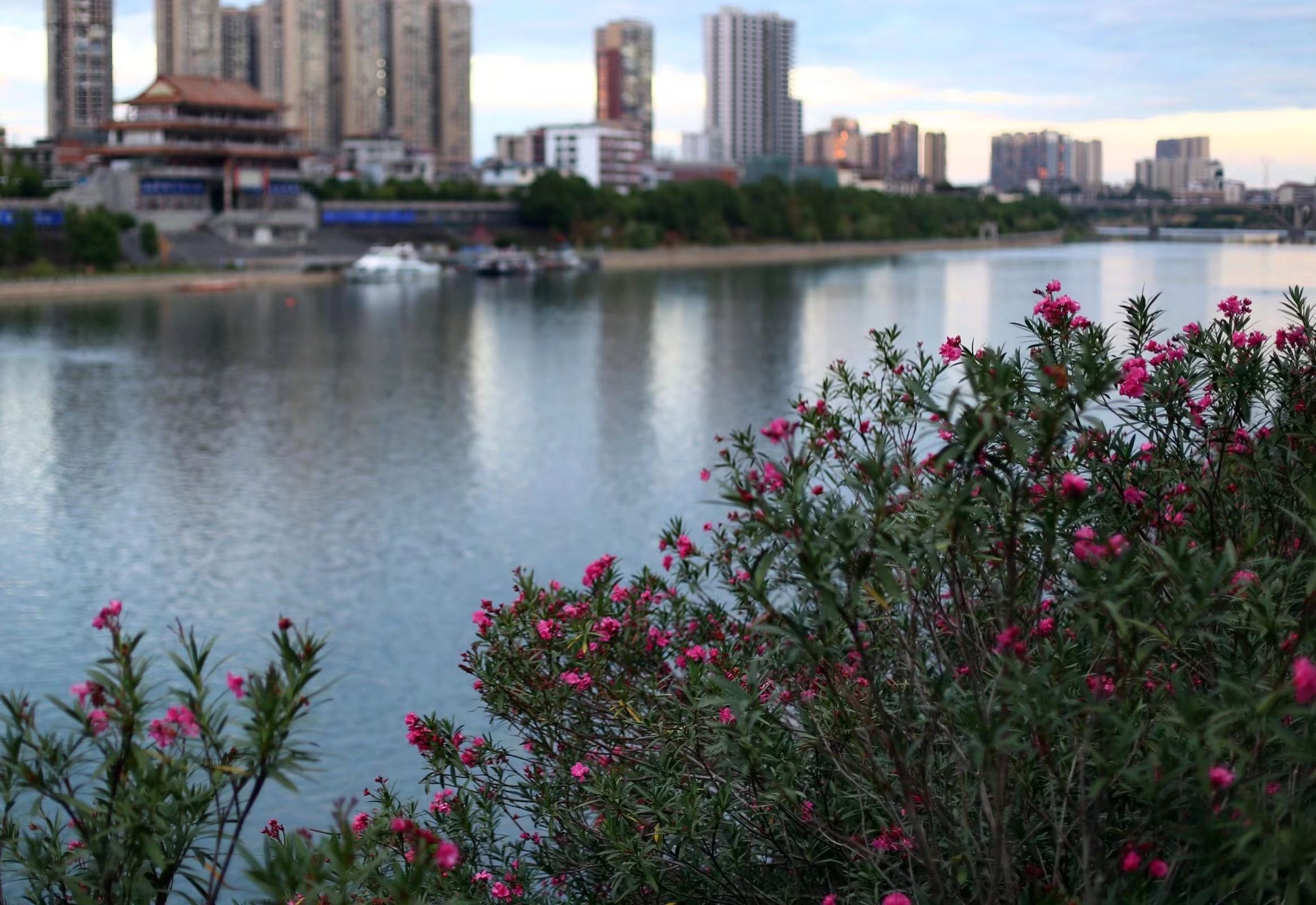 宝庆府古城墙赋旅行图片 1