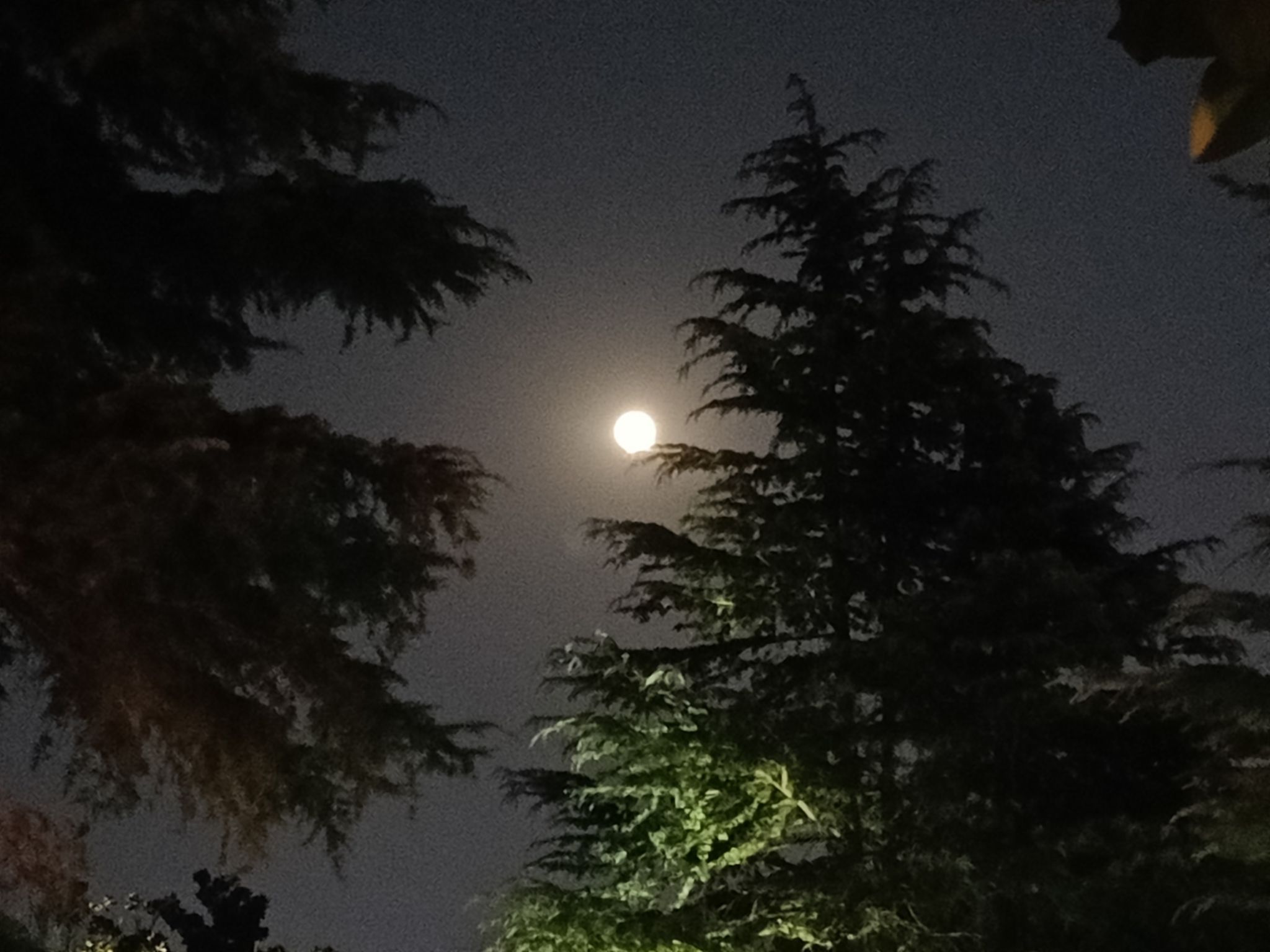 银河之春公园旅行图片 1