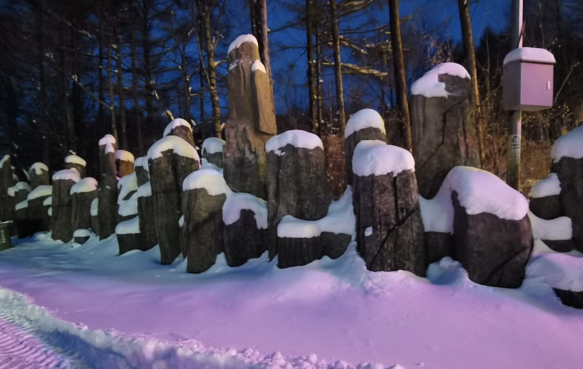 吉林雪乡旅行图片 3