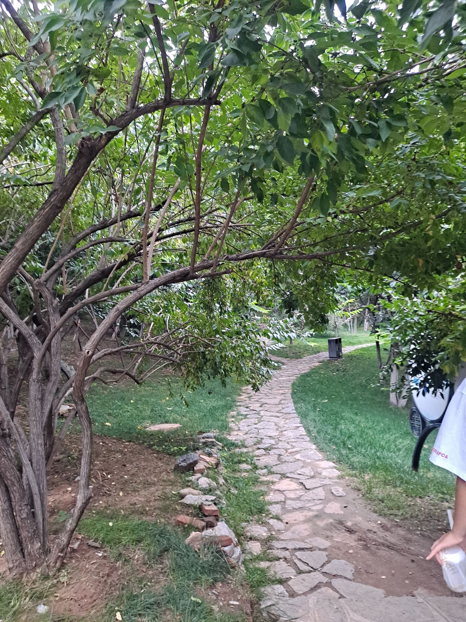 舜华三山森林公园旅行图片 2