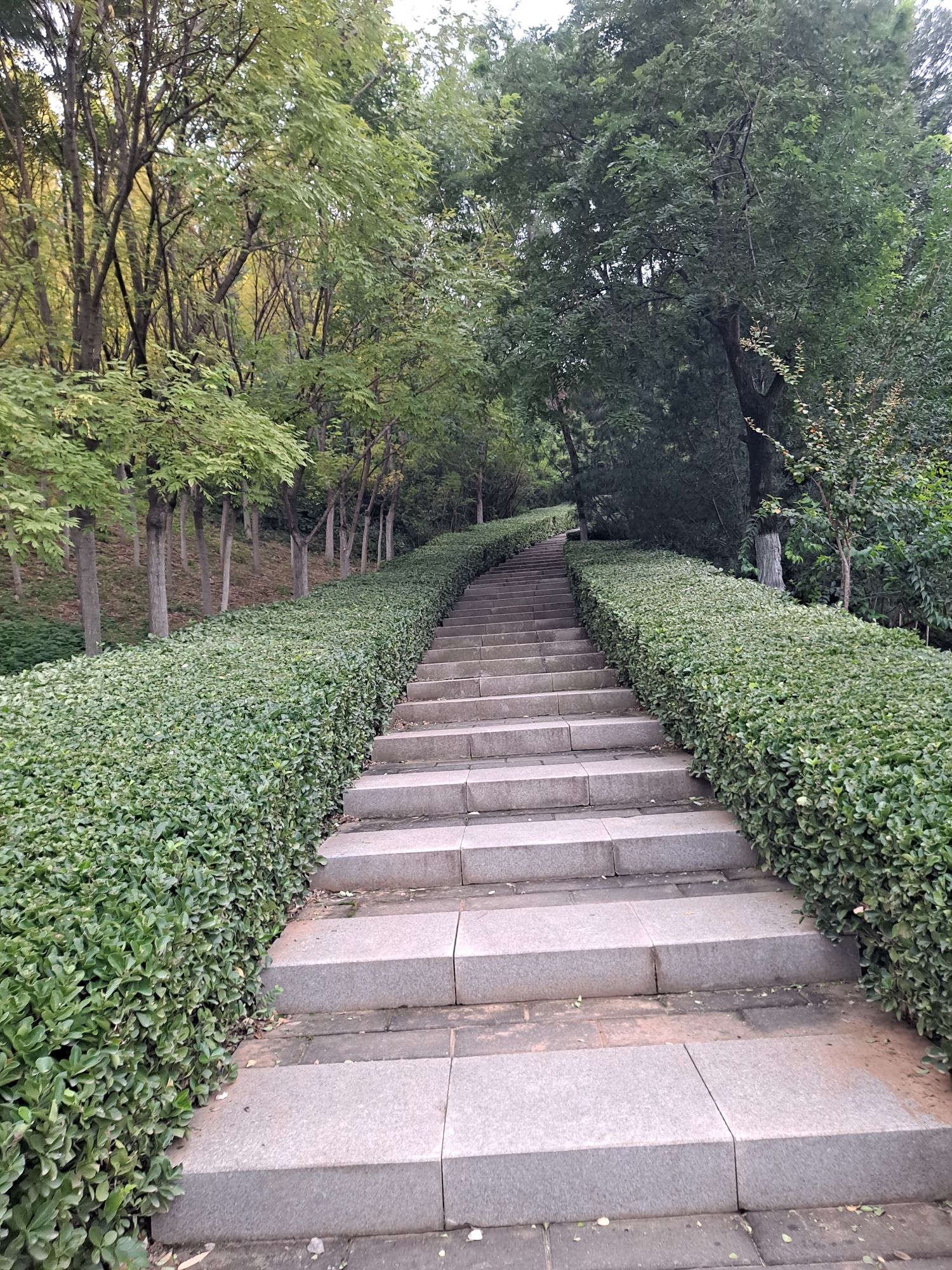 舜华三山森林公园旅行图片 3