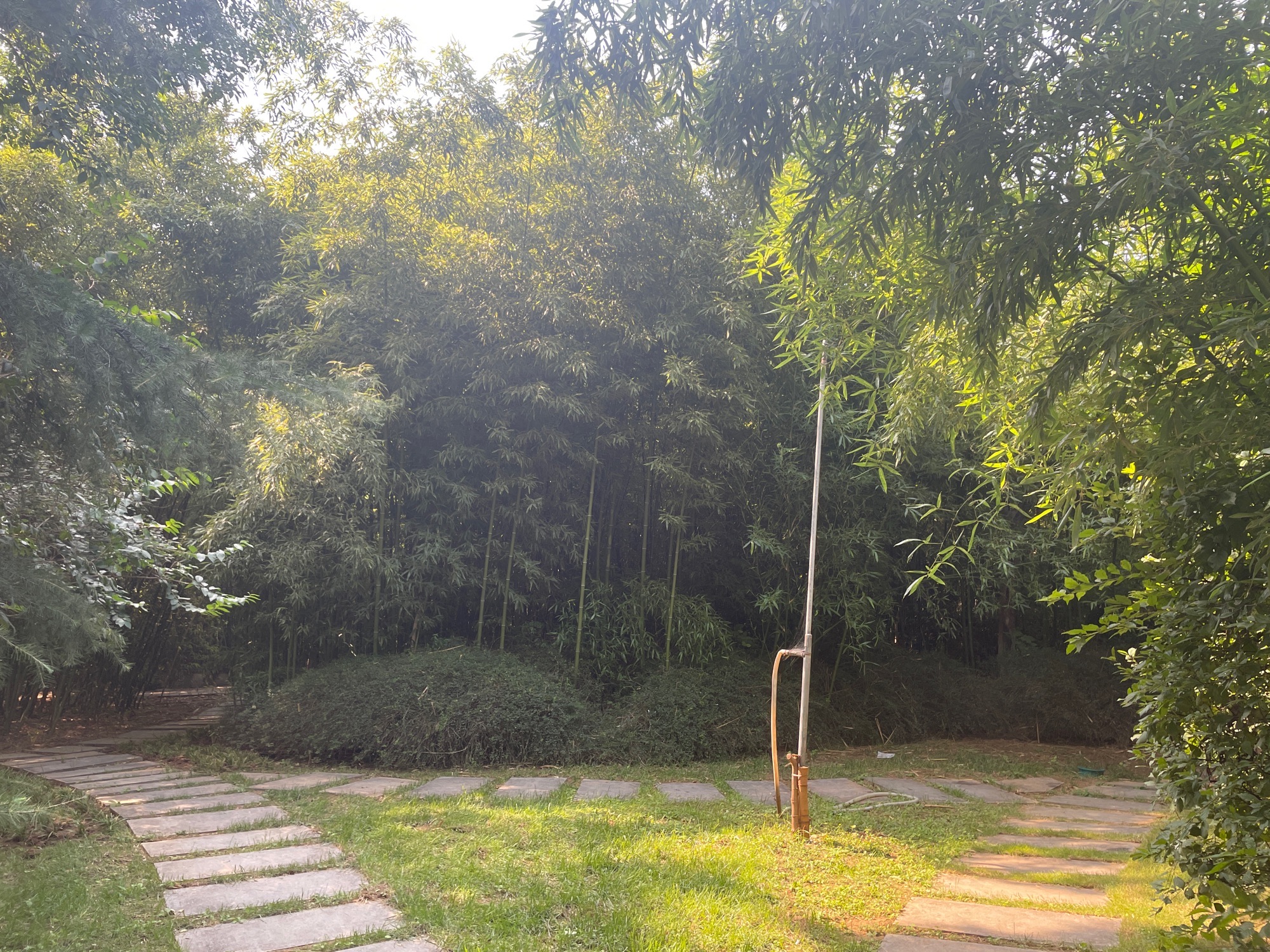 舜华三山森林公园旅行图片 1