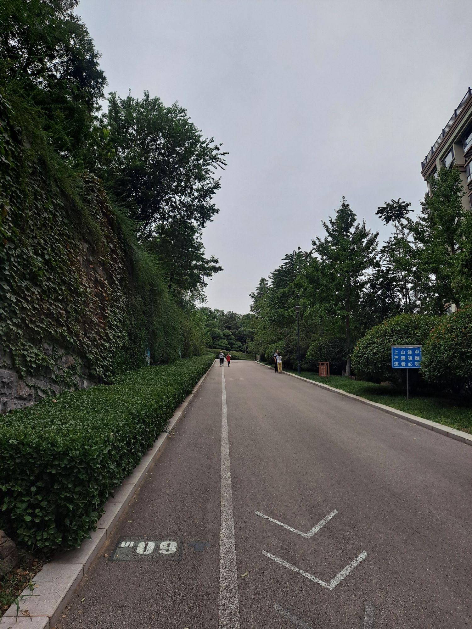 舜华三山森林公园旅行图片 1