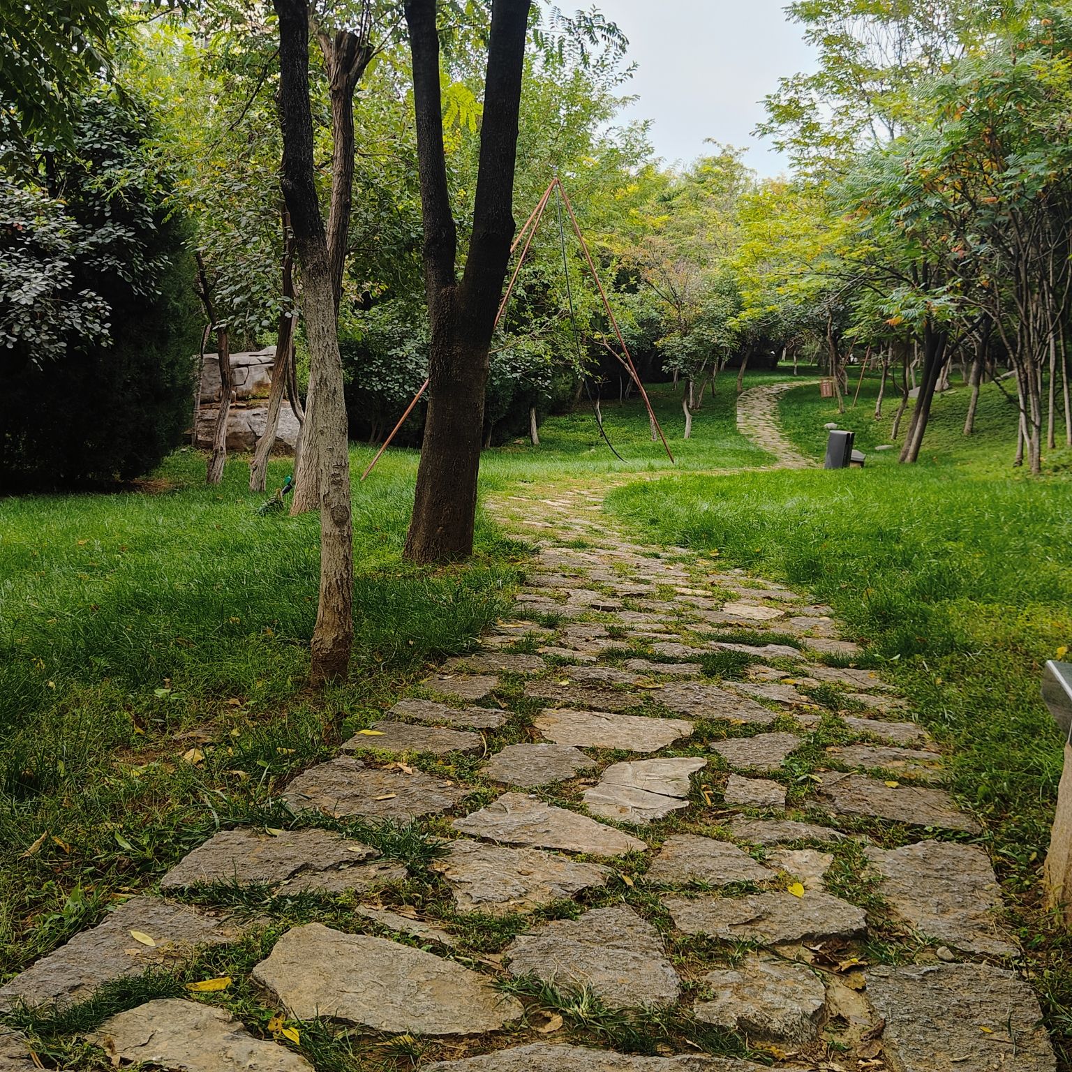 舜华三山森林公园旅行图片 2