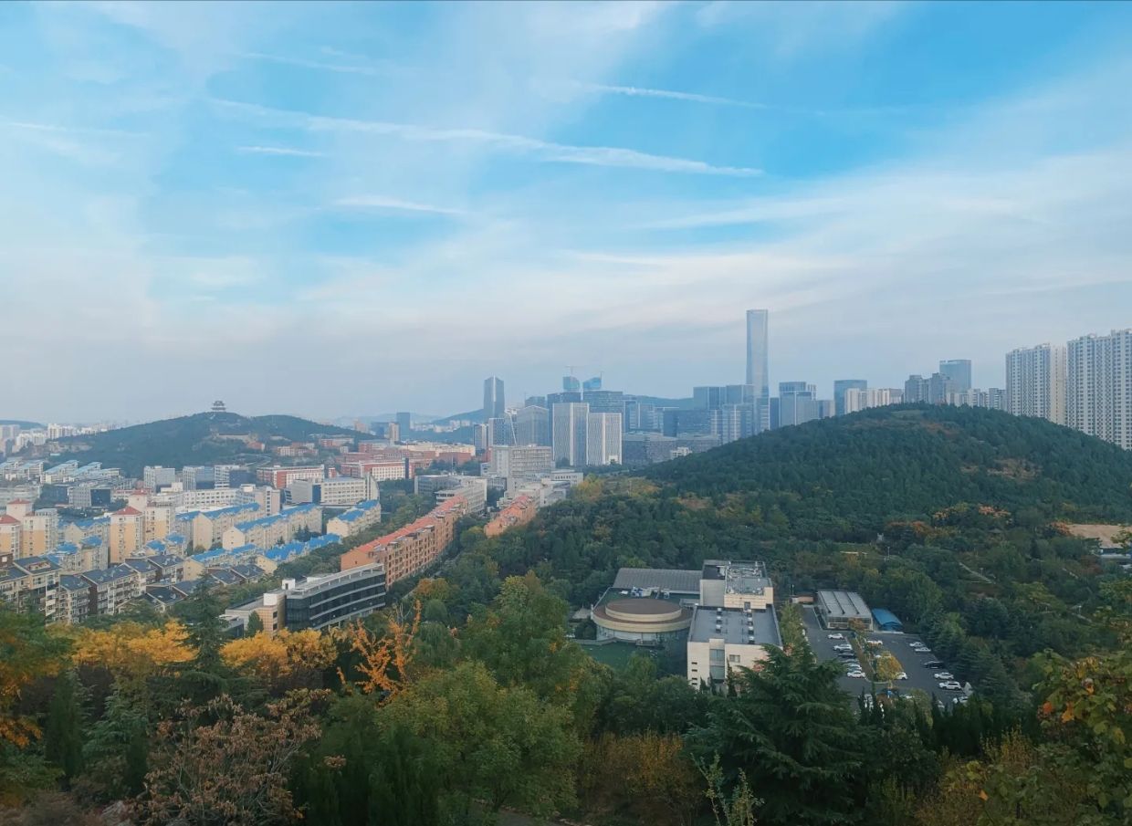 舜华三山森林公园旅行图片 2