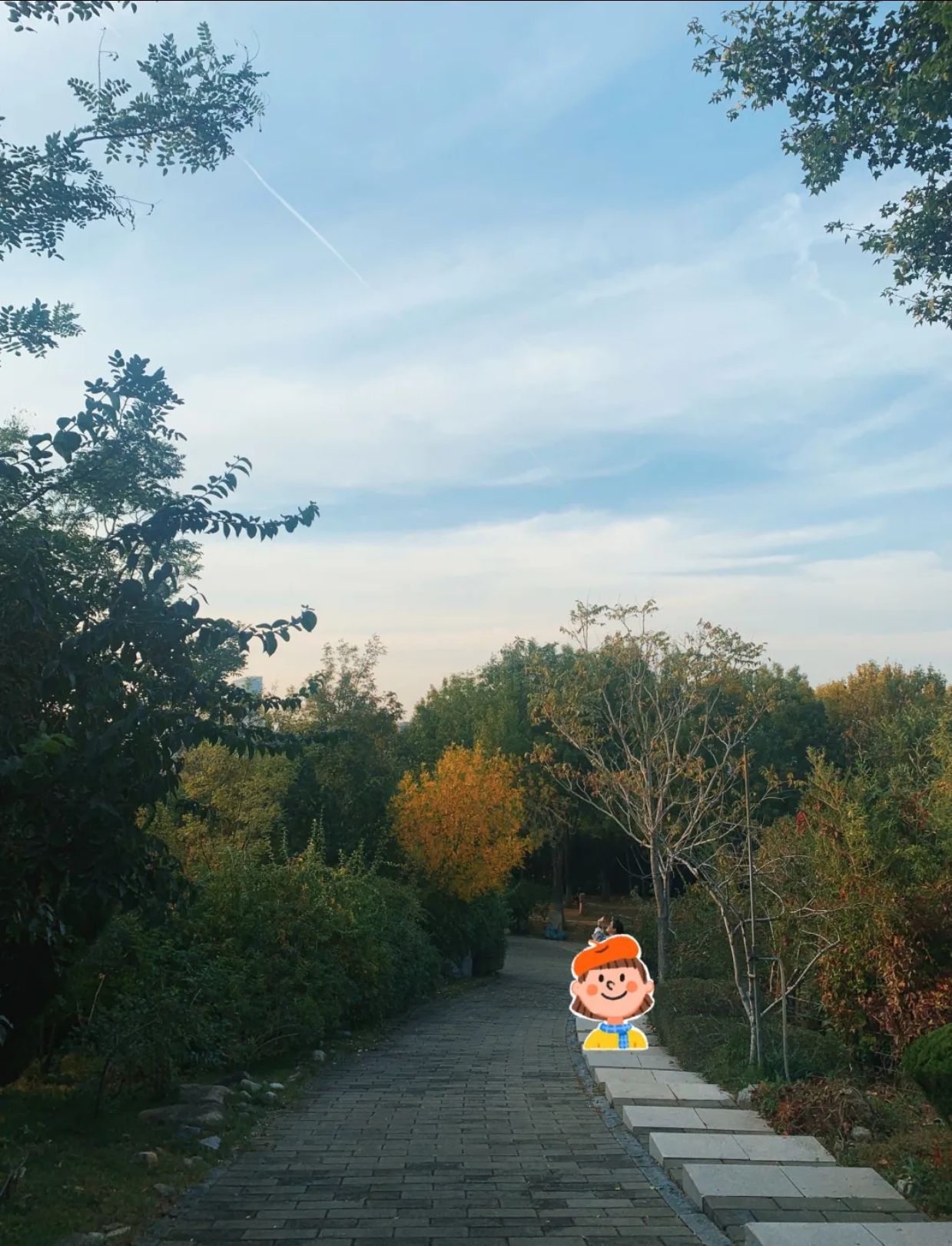 舜华三山森林公园旅行图片 1