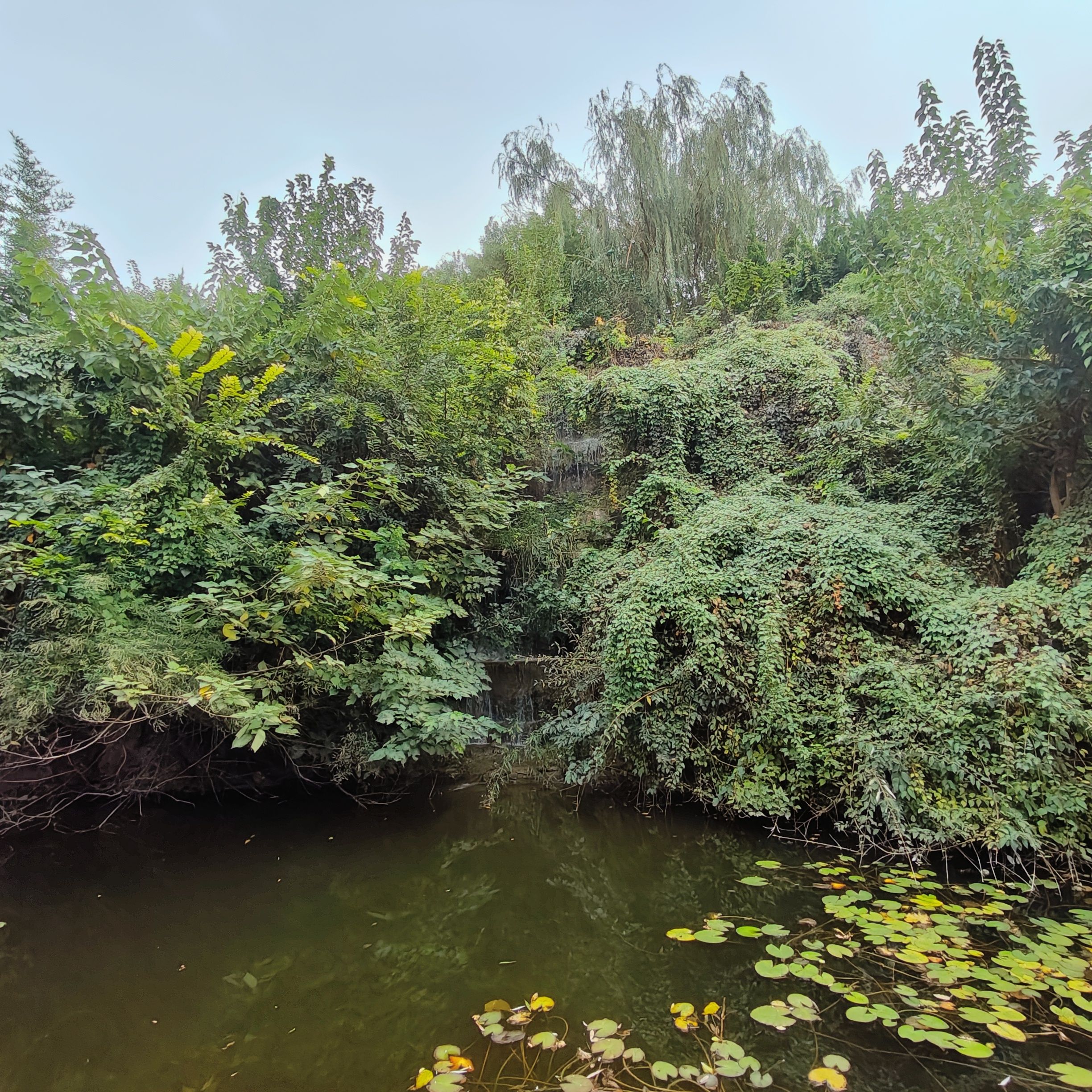舜华三山森林公园旅行图片 1
