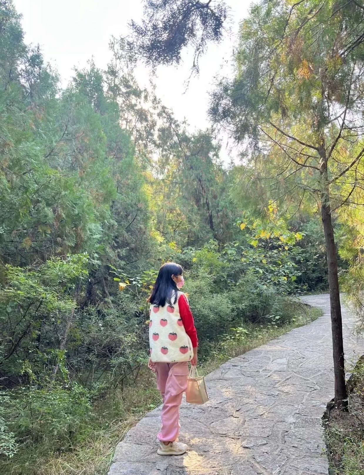 舜华三山森林公园旅行图片 3