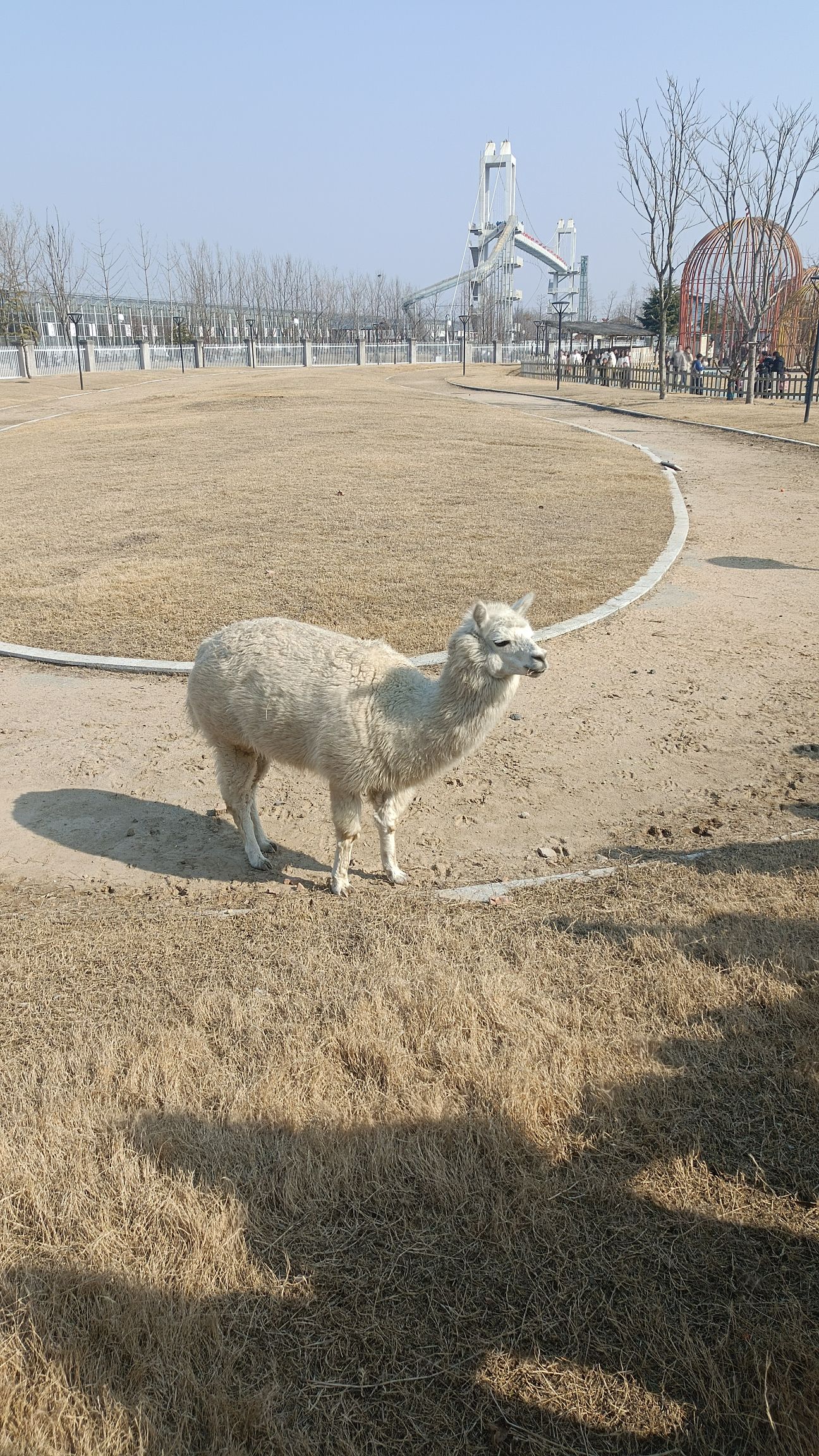 神农时代文化旅游区旅行图片 3