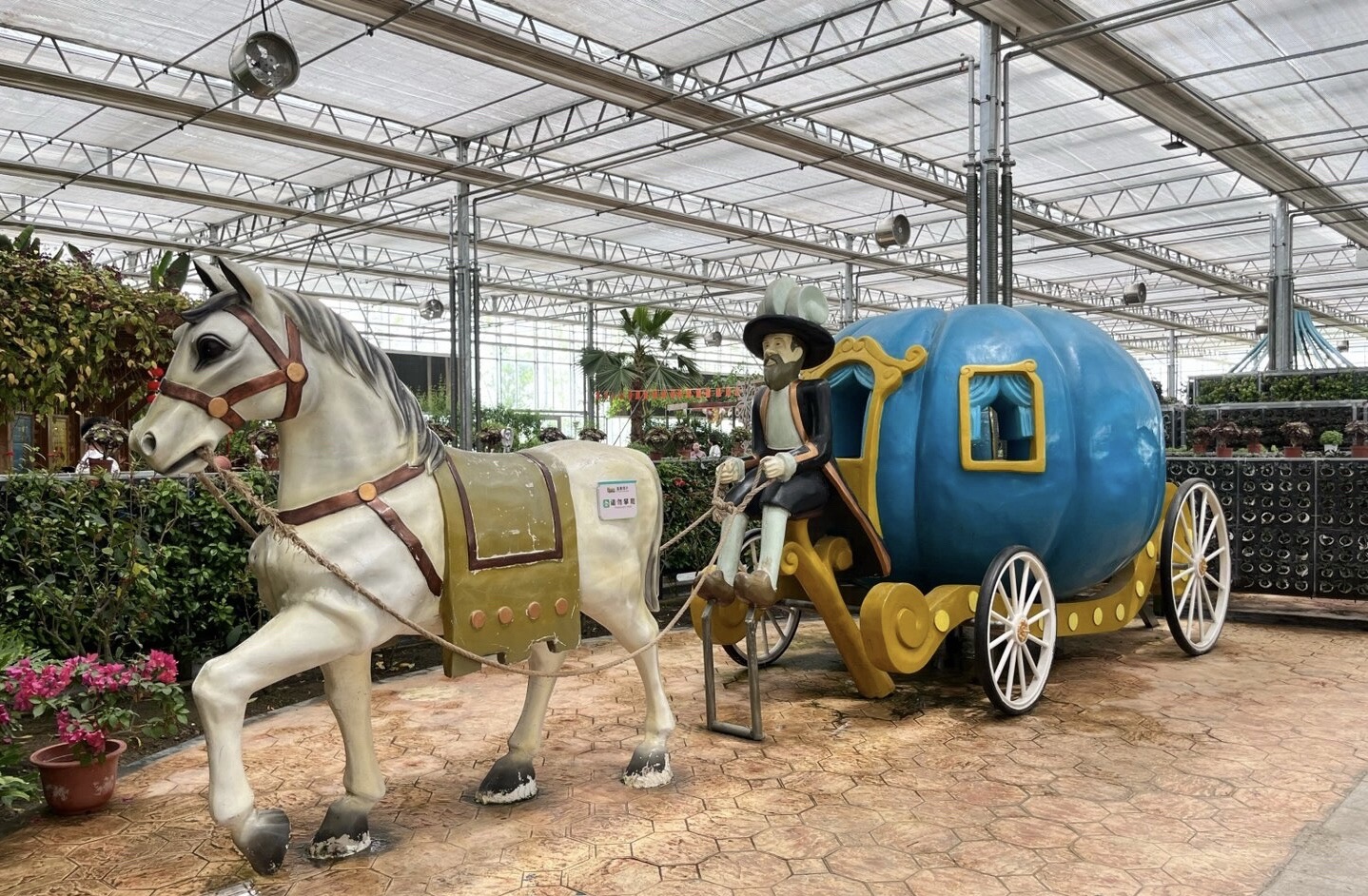 神农时代文化旅游区旅行图片 2