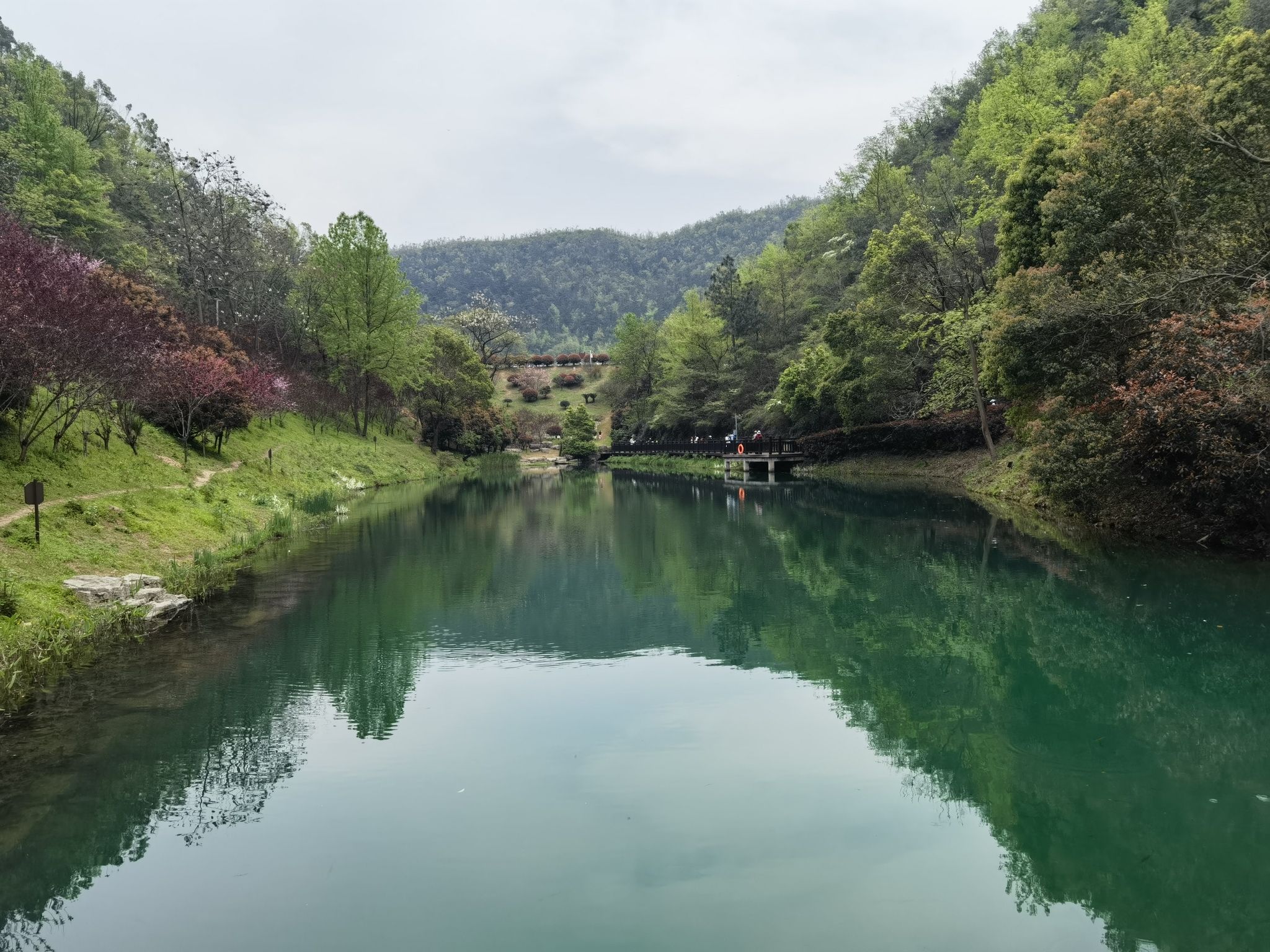 桃花岭景区旅行图片 1