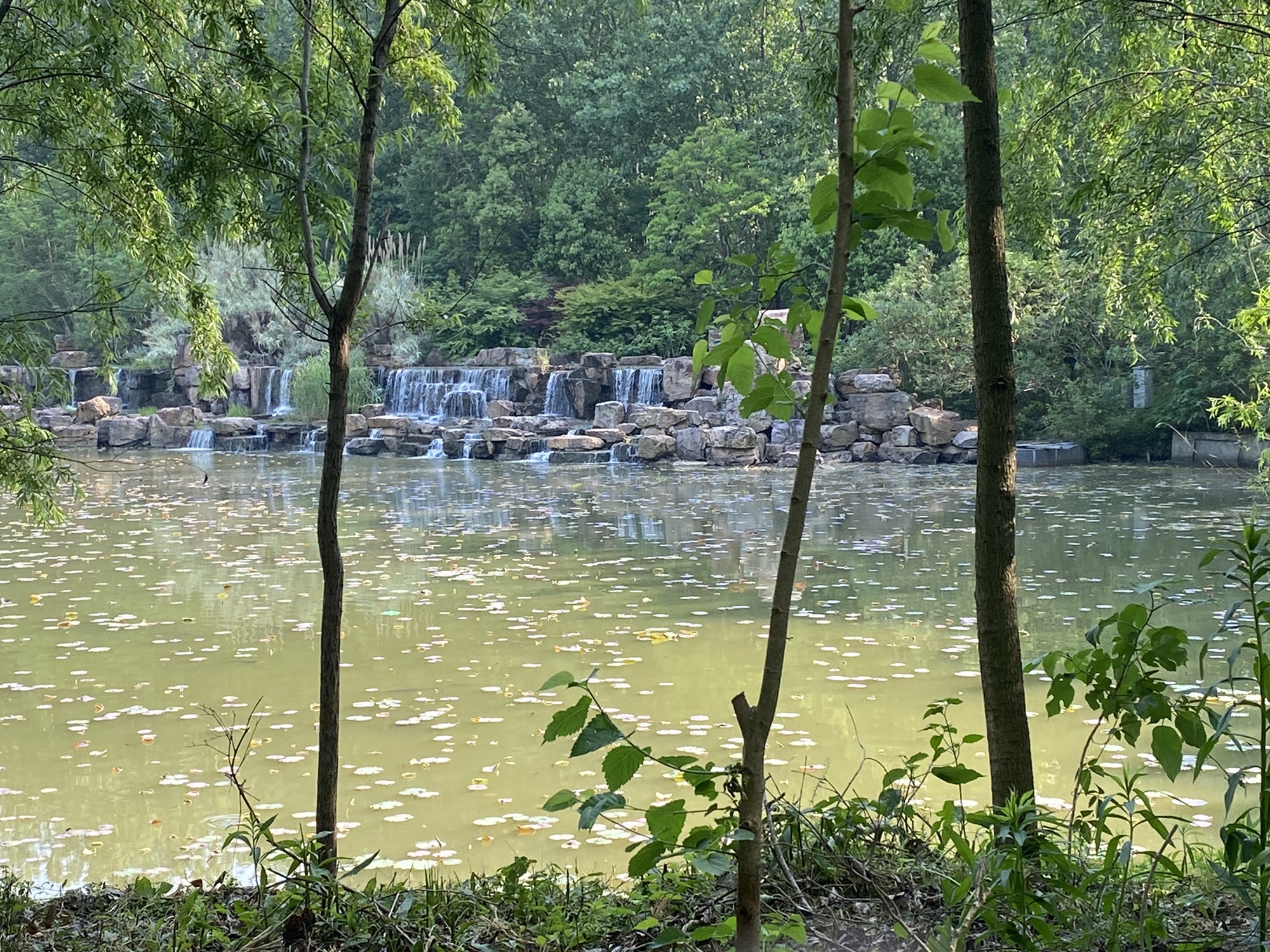 湖滨国家湿地公园旅行图片 3