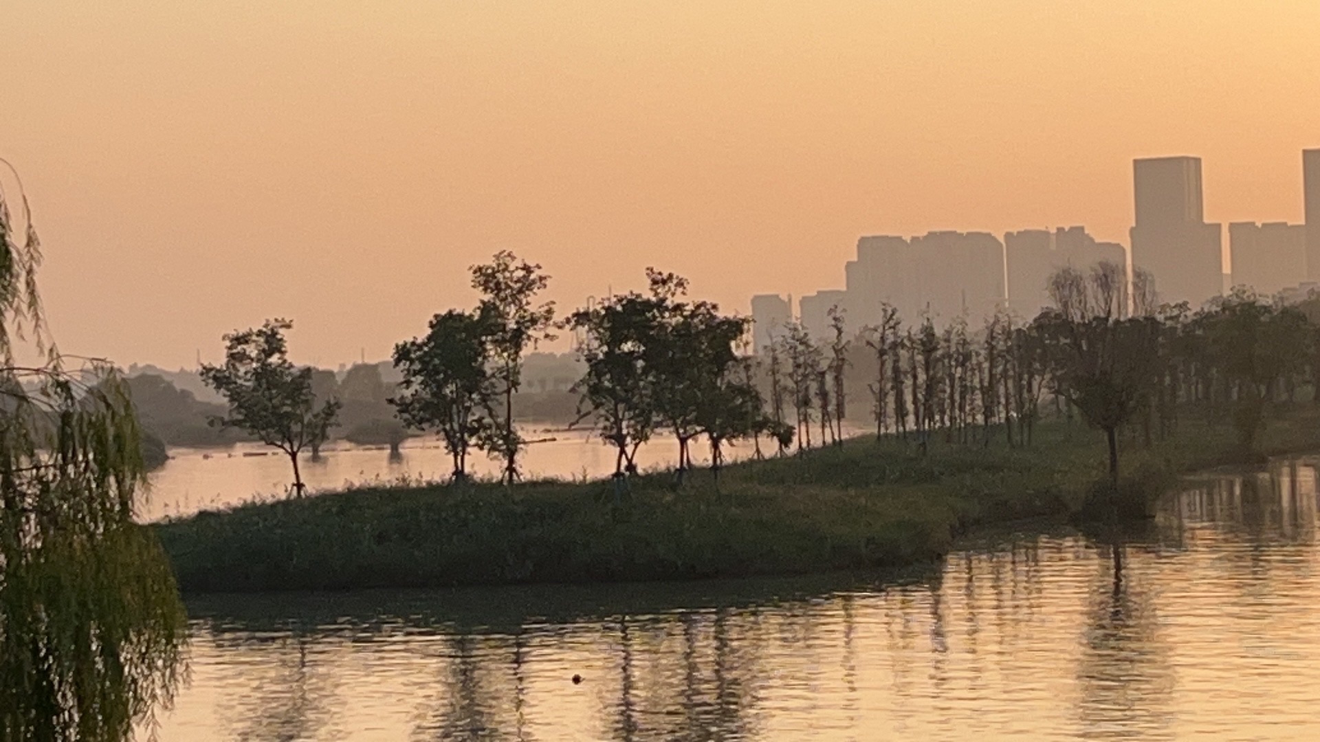 湖滨国家湿地公园旅行图片 2