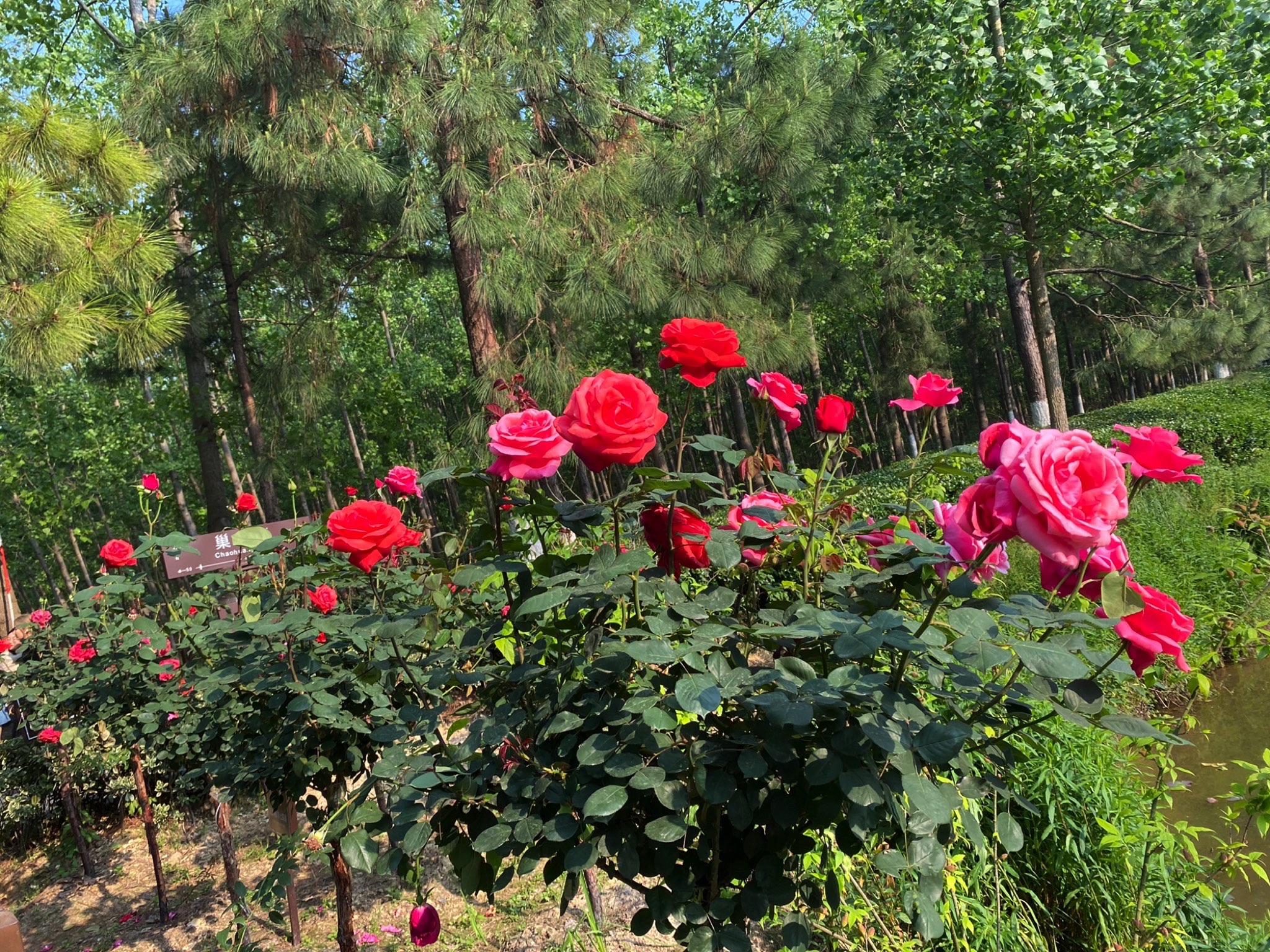 湖滨国家湿地公园旅行图片 1