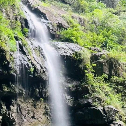 风崖谷旅行图片 3