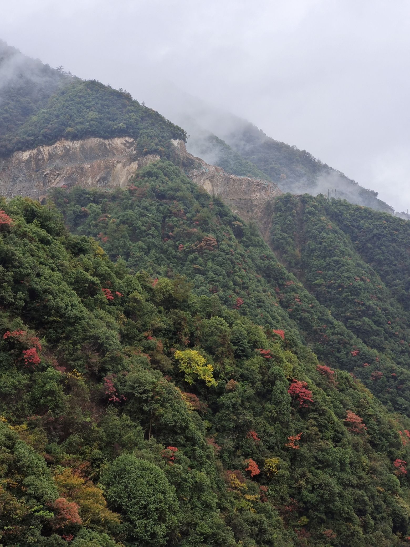风崖谷旅行图片 2