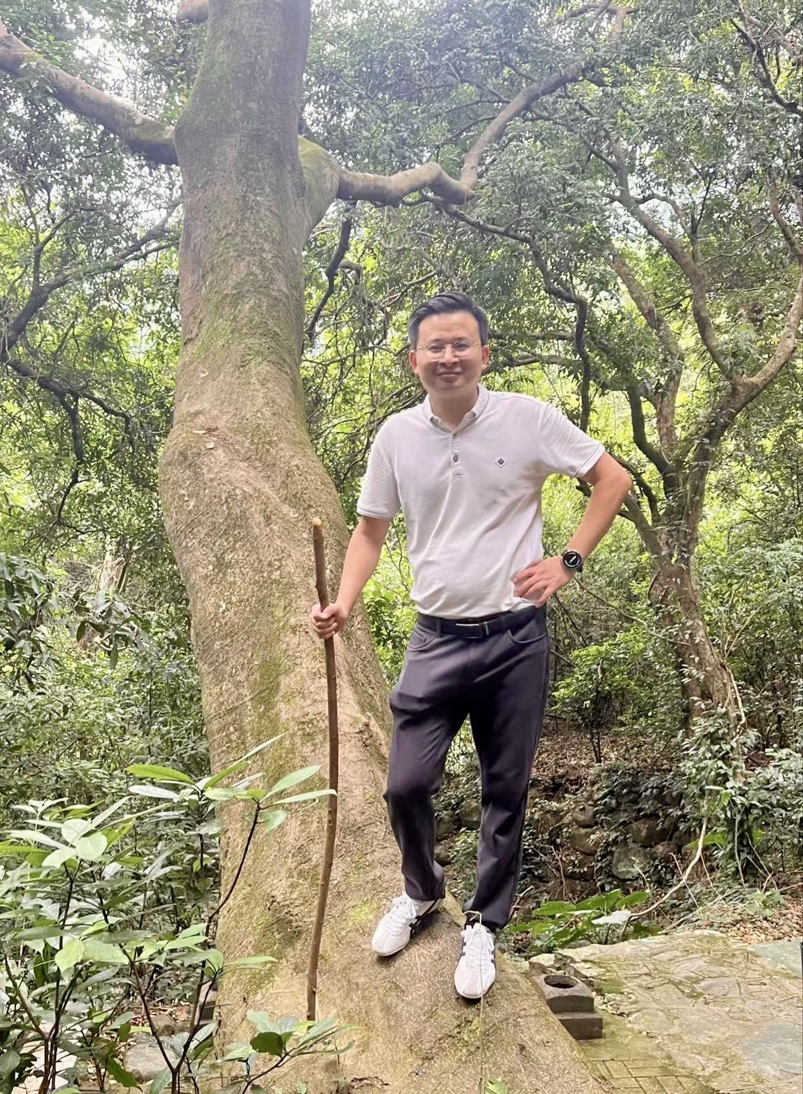 观音山旅行图片 1