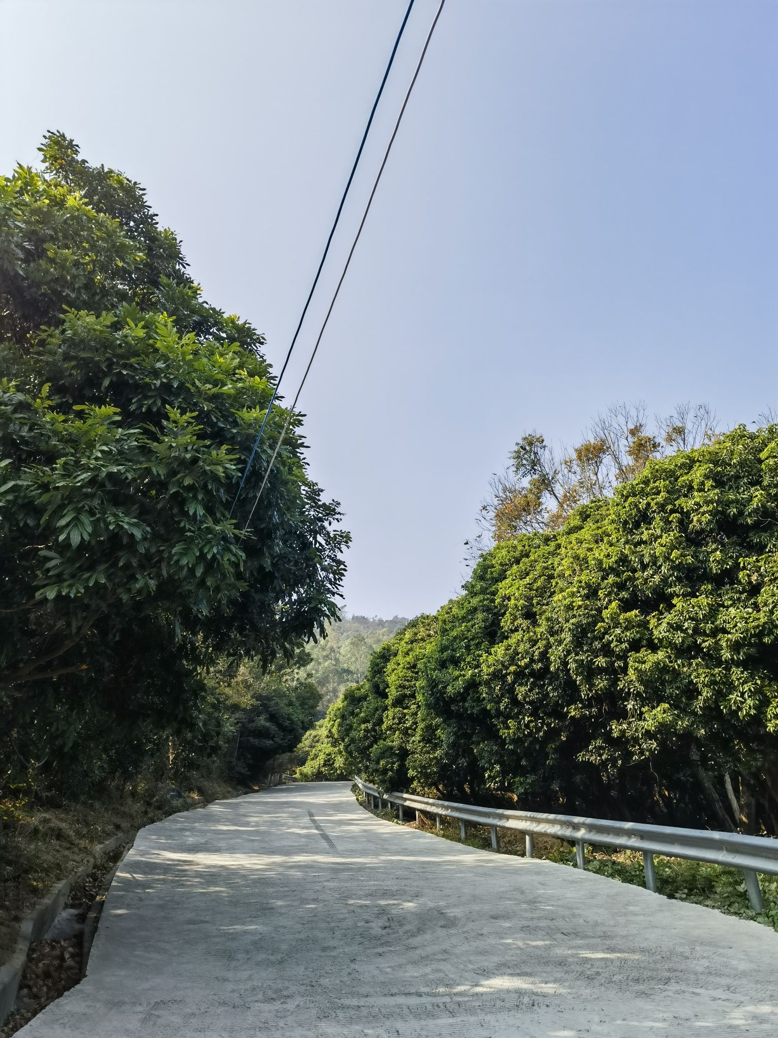 观音山旅行图片 1