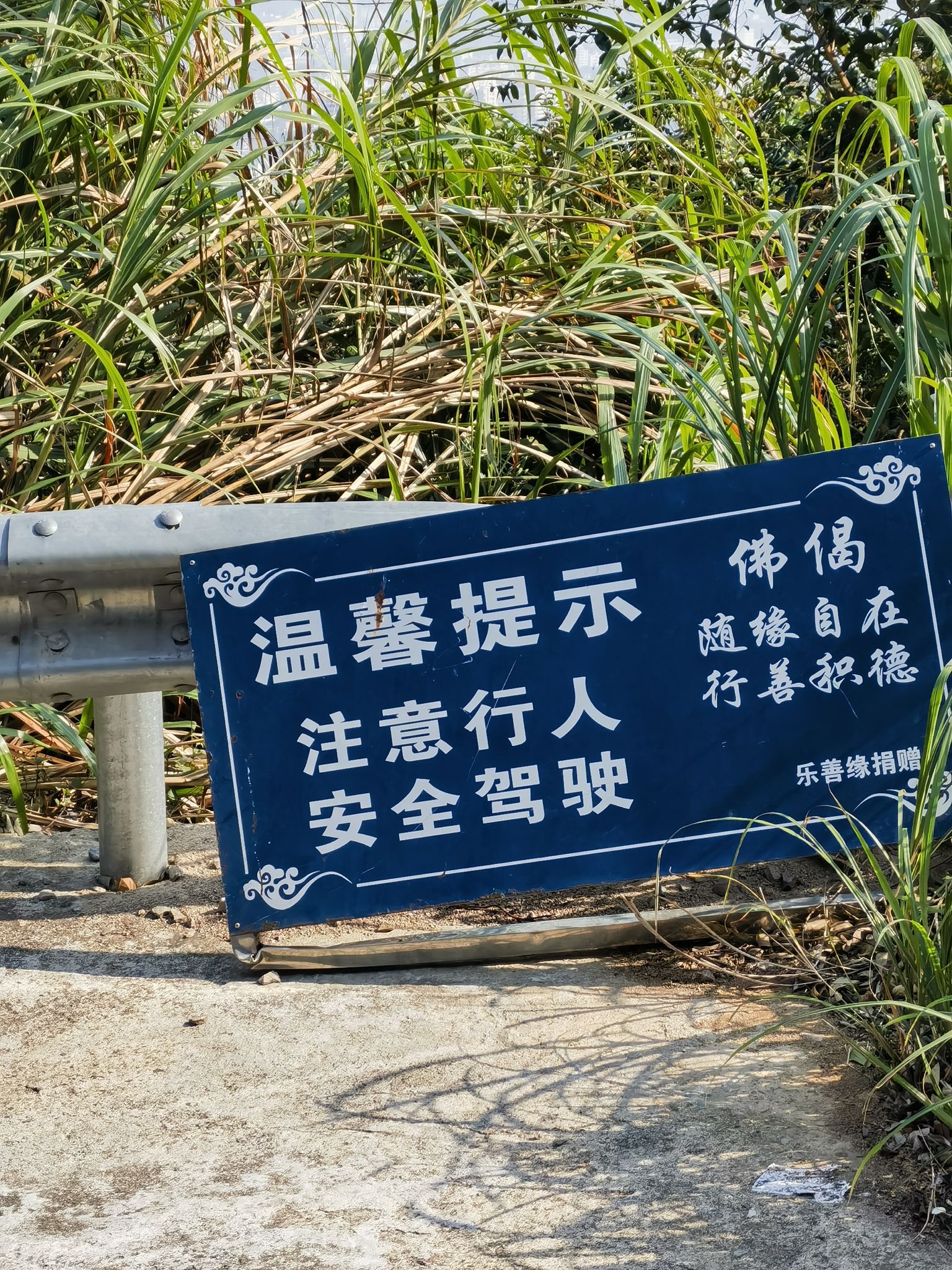 观音山旅行图片 2