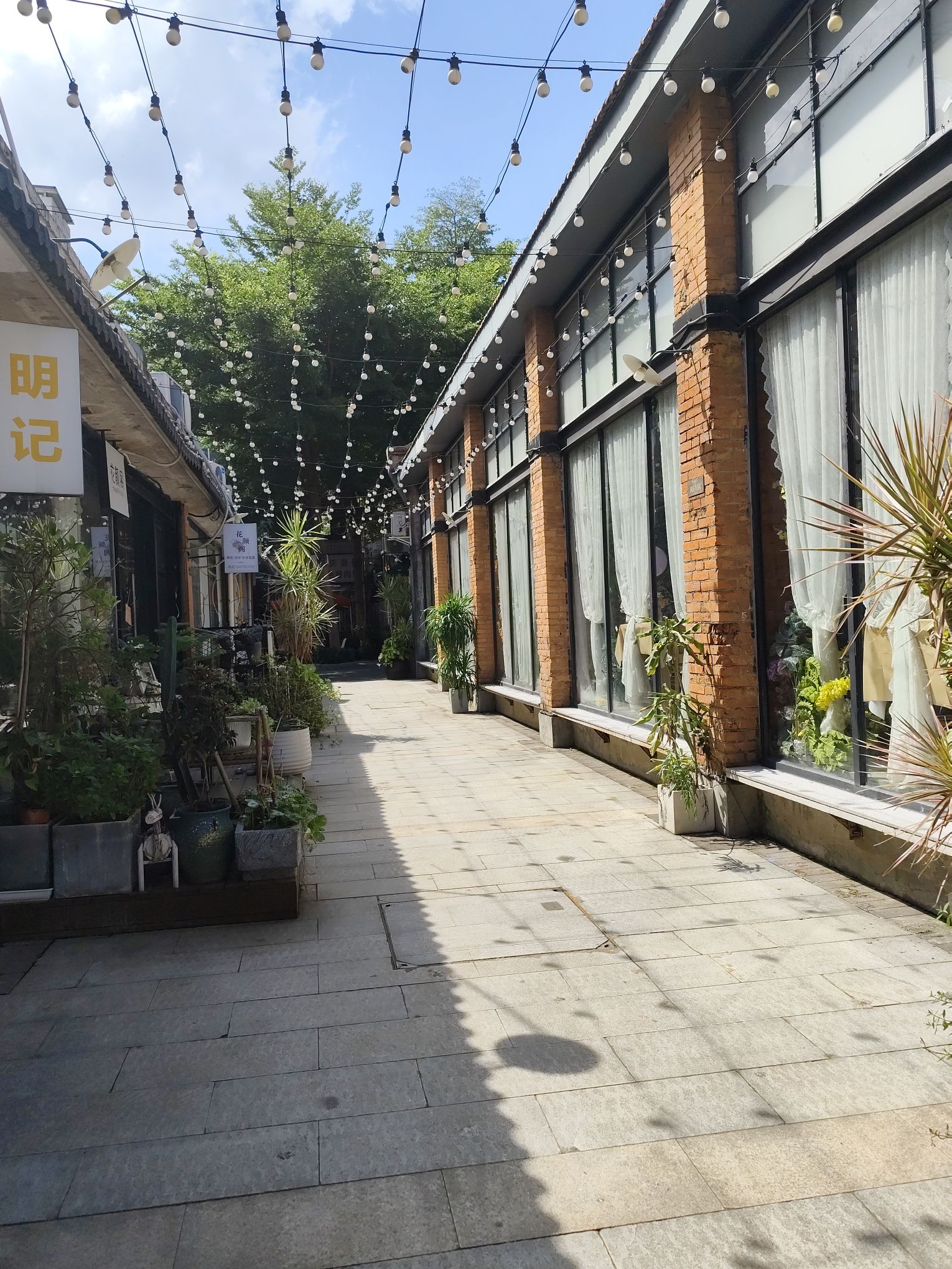 百益上河城旅行图片 3