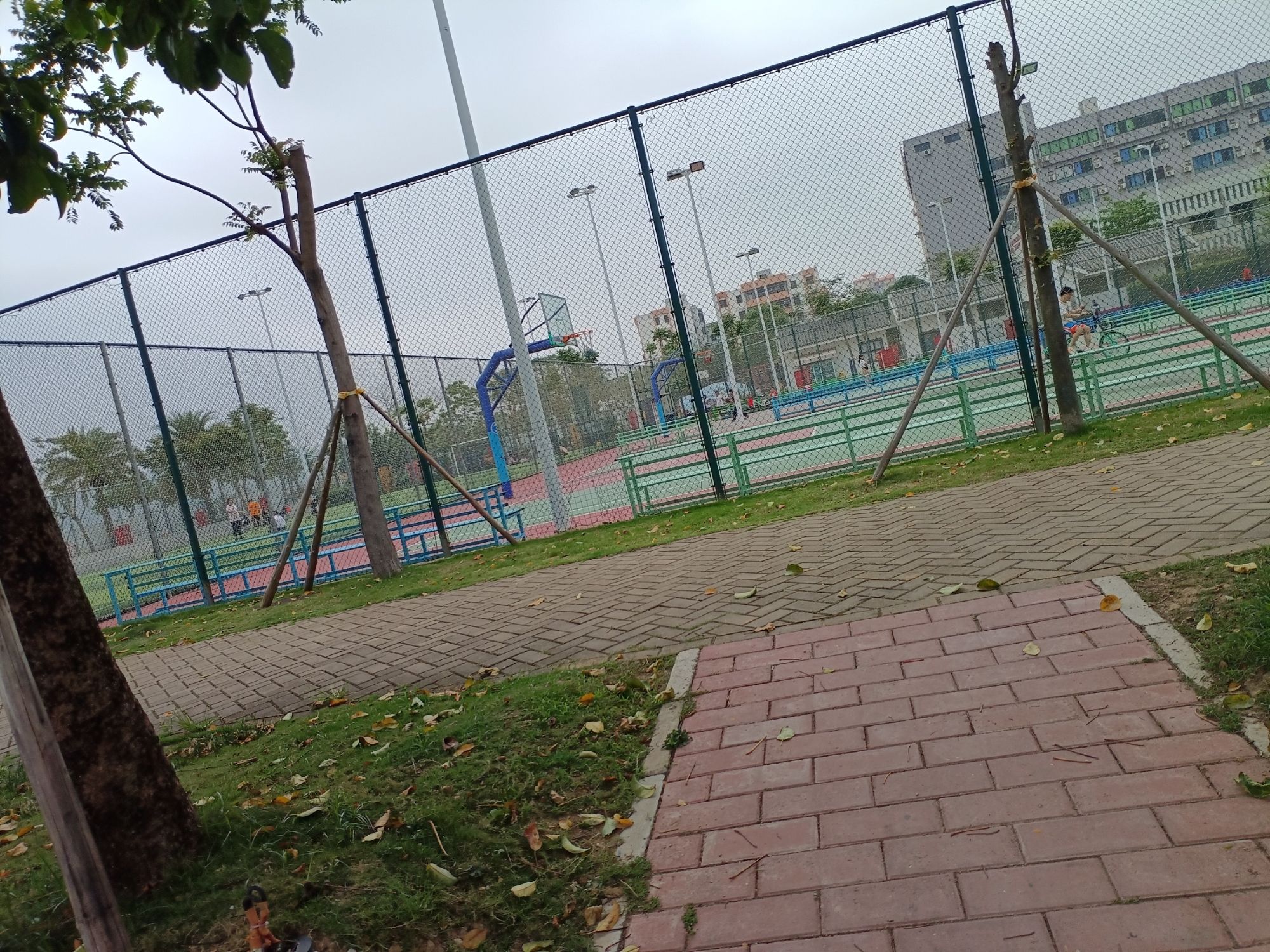 浪白公园旅行图片 1