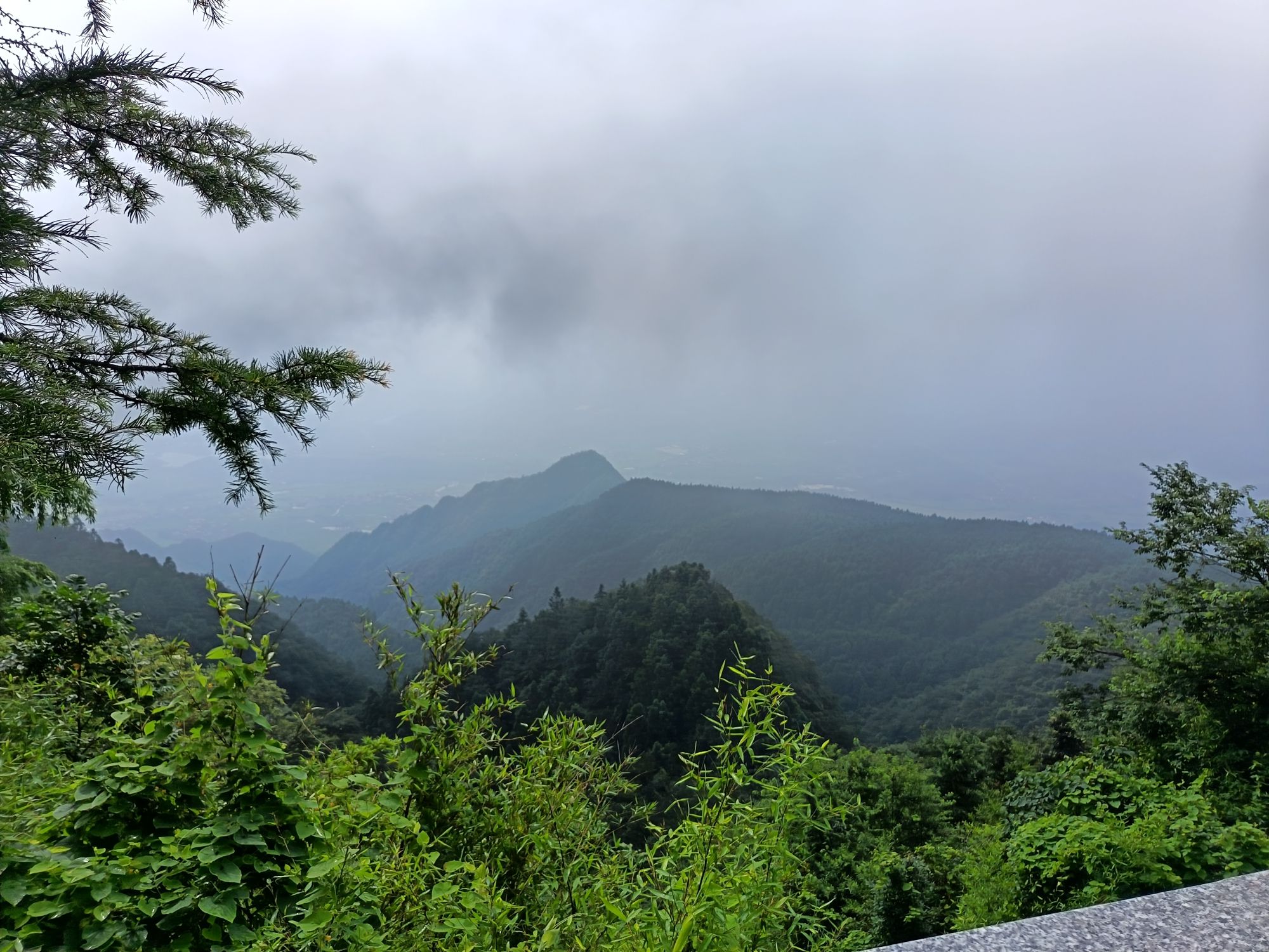 云山国家森林公园旅行图片 3