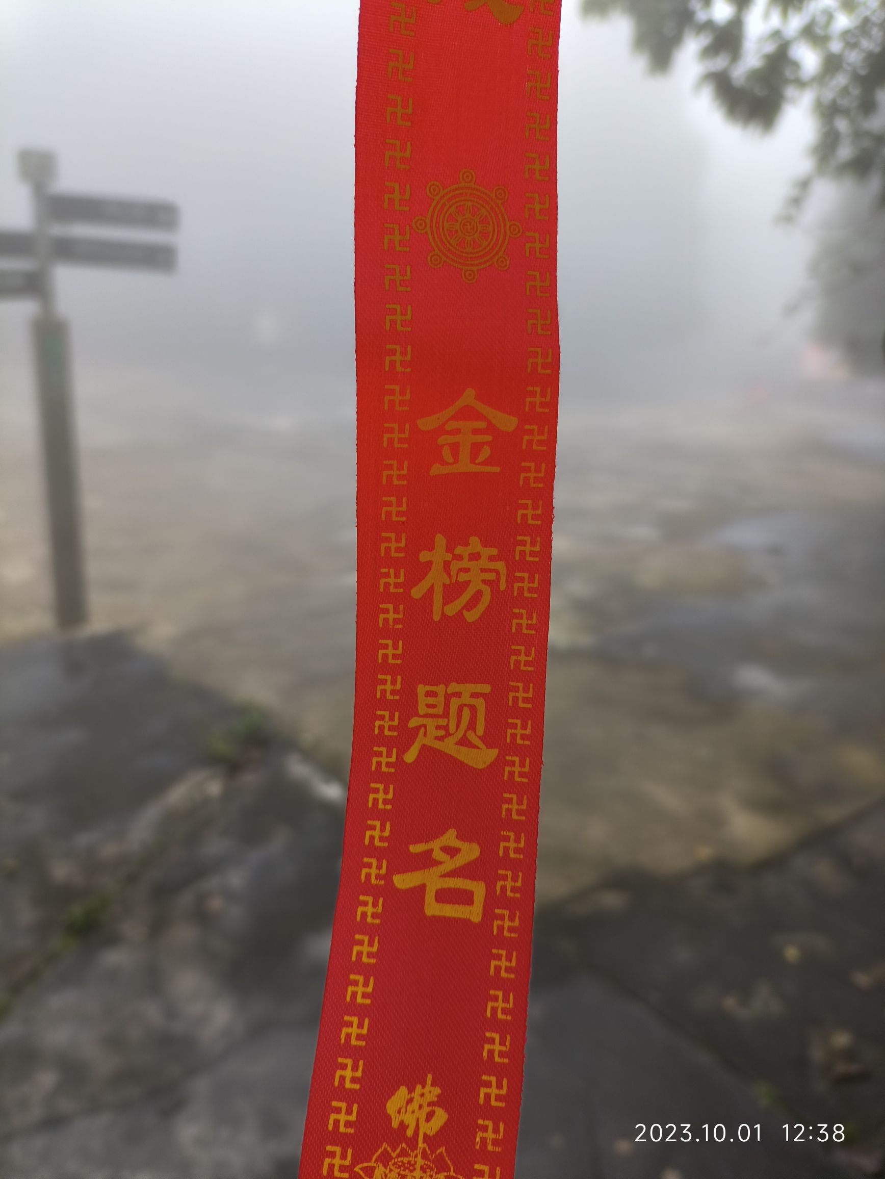 云山国家森林公园旅行图片 3