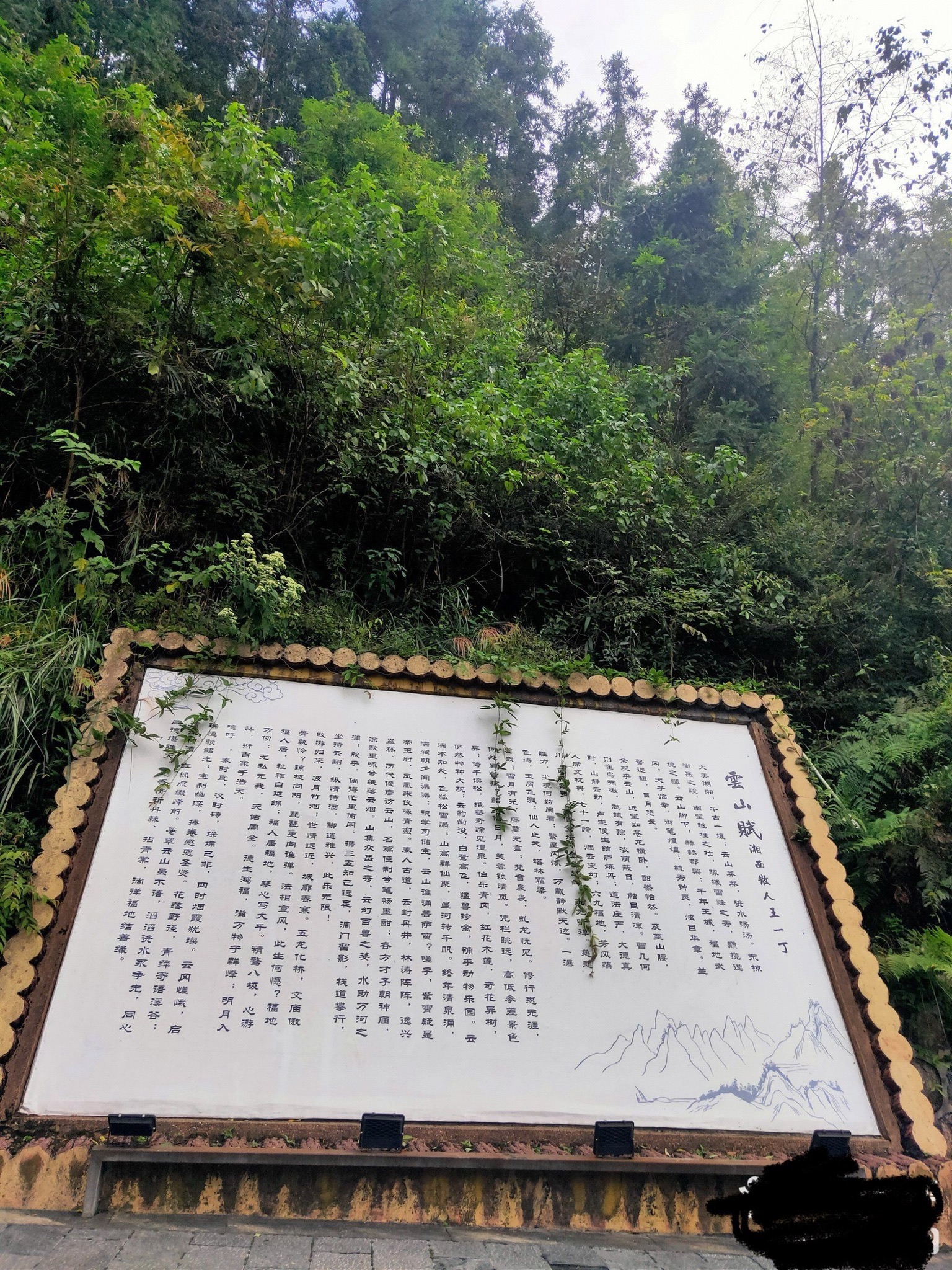 云山国家森林公园旅行图片 2