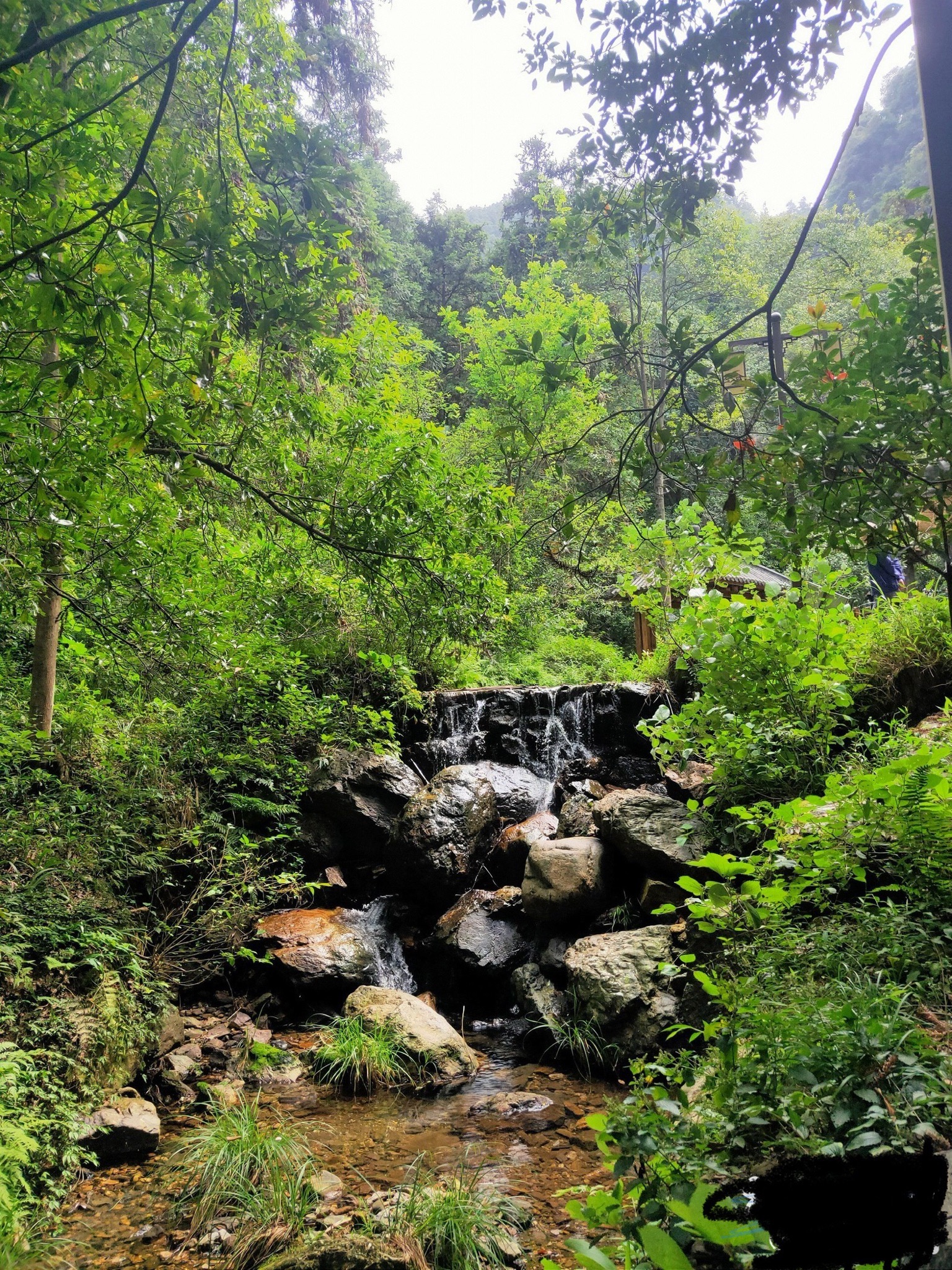 云山国家森林公园旅行图片 3