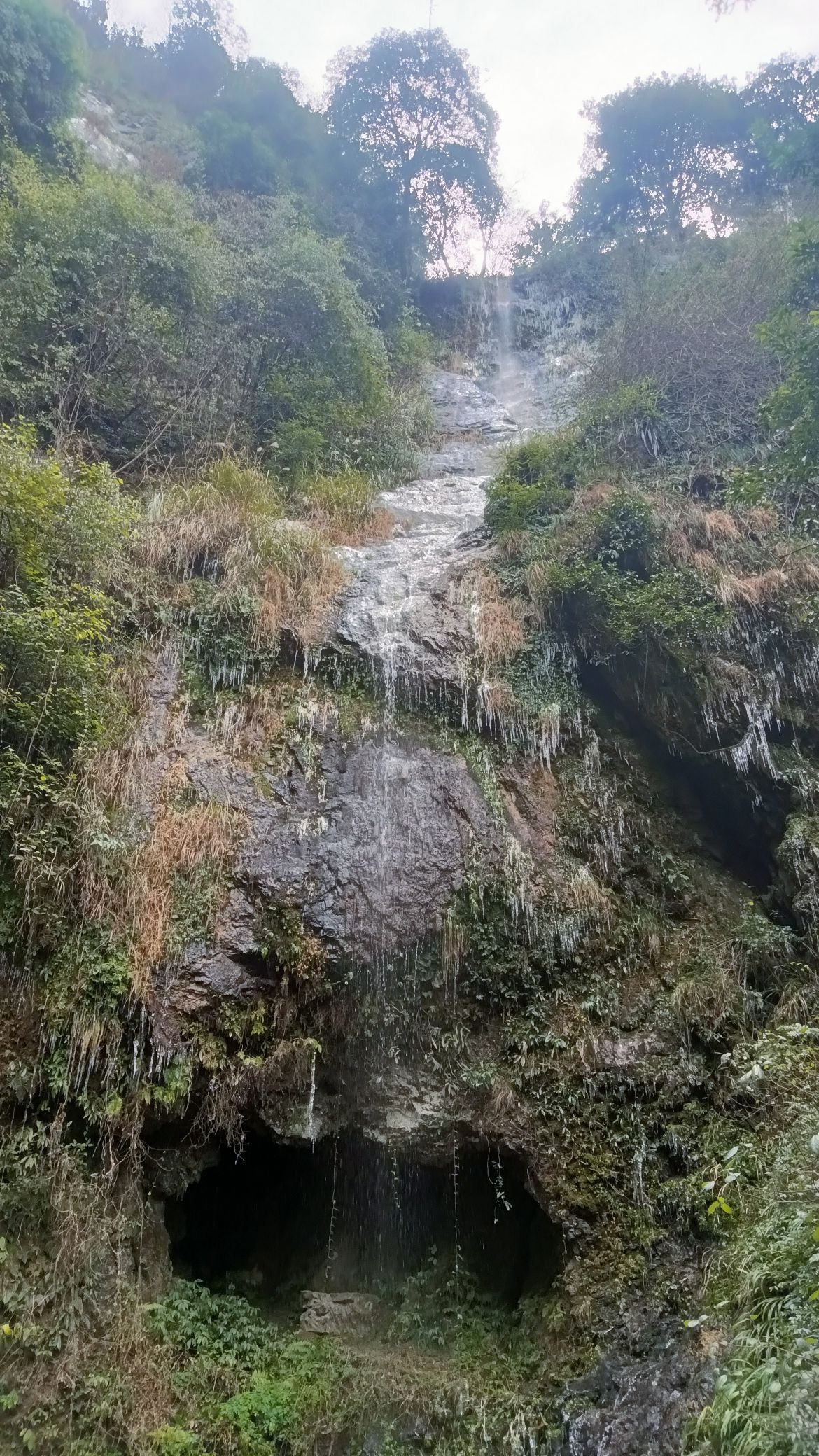 云山国家森林公园旅行图片 1